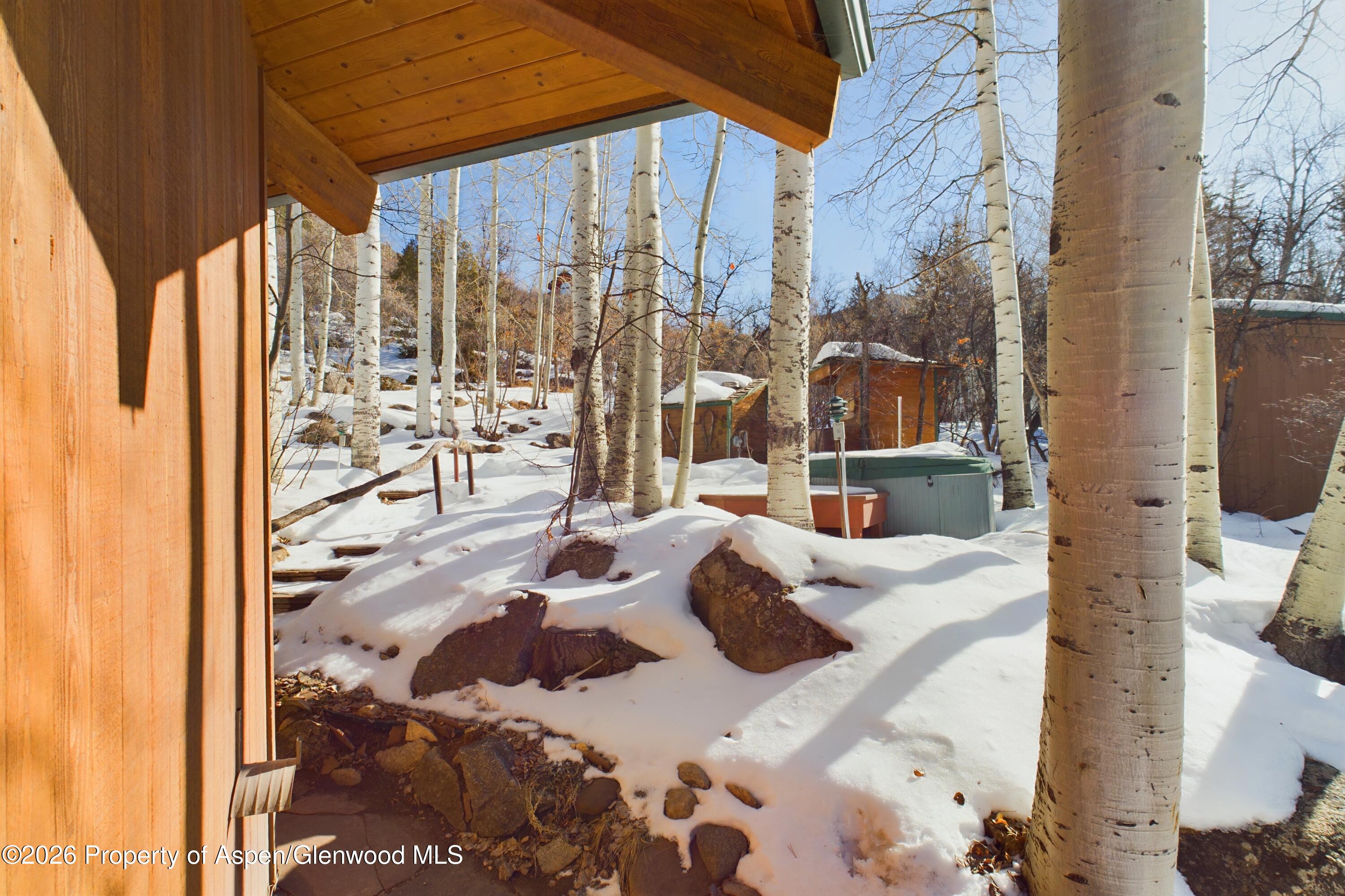 209 E Reds Road Aspen CO 81611