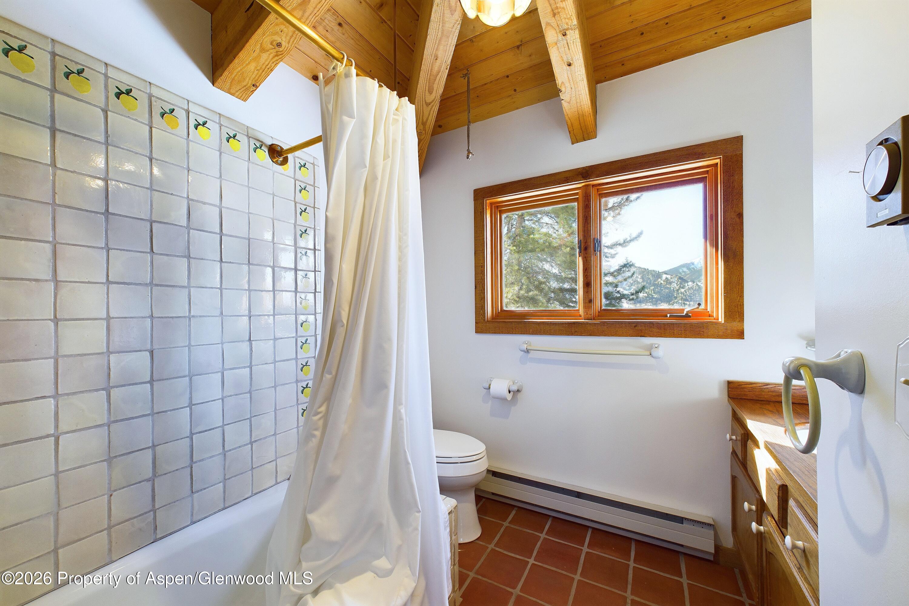 209 E Reds Road Aspen CO 81611
