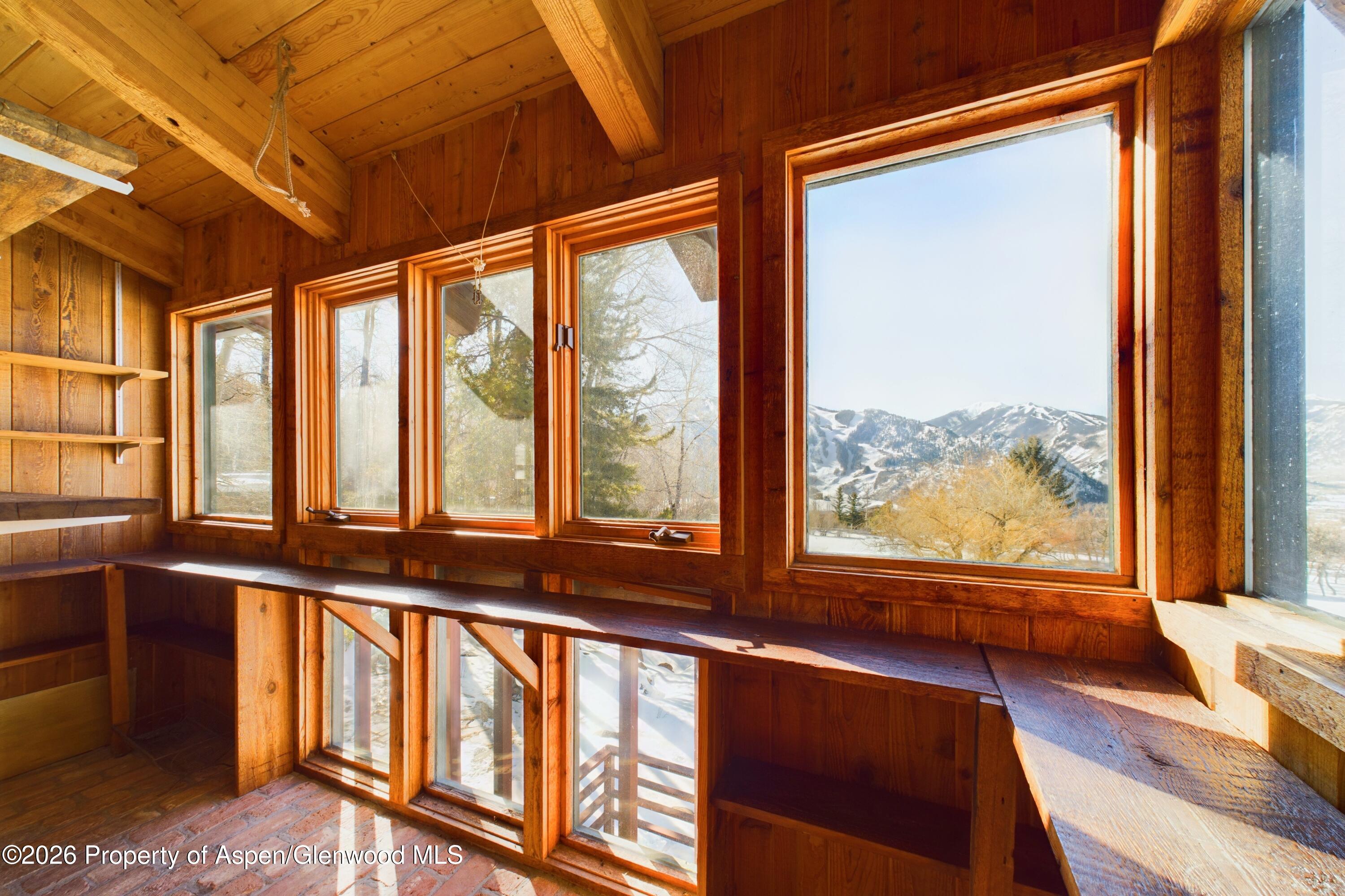 209 E Reds Road Aspen CO 81611