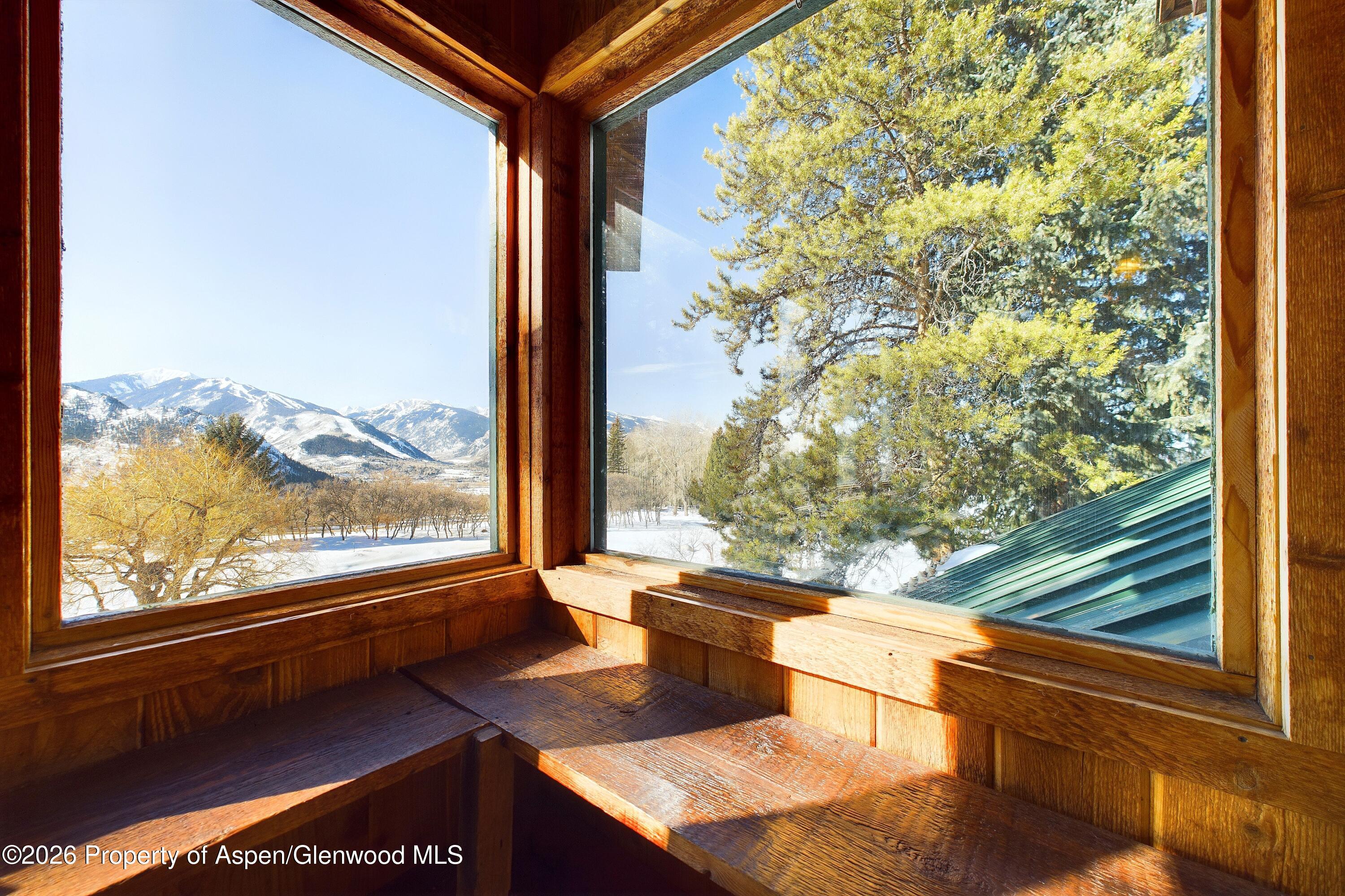 209 E Reds Road Aspen CO 81611