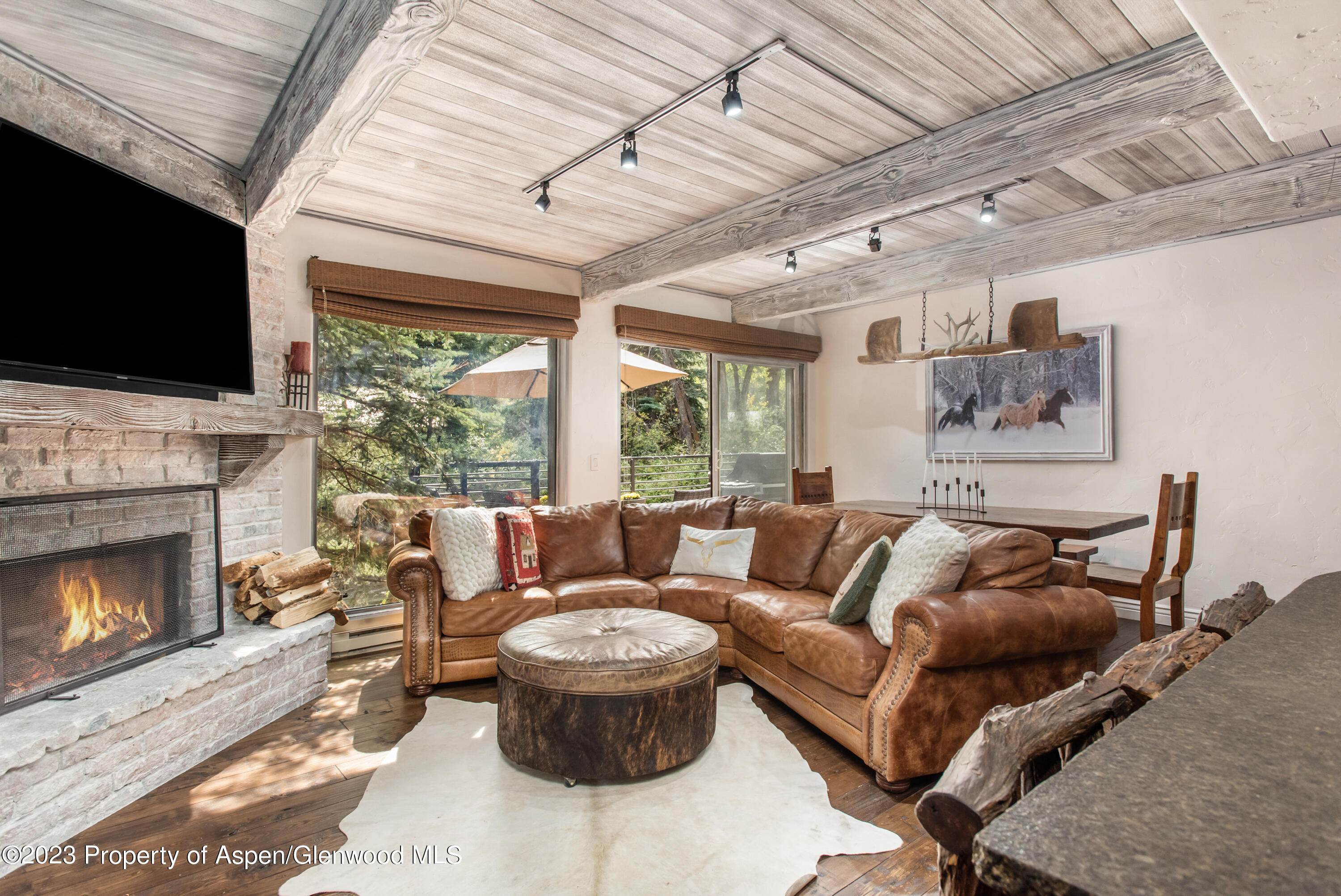 1039 E Cooper Avenue Aspen CO 81611