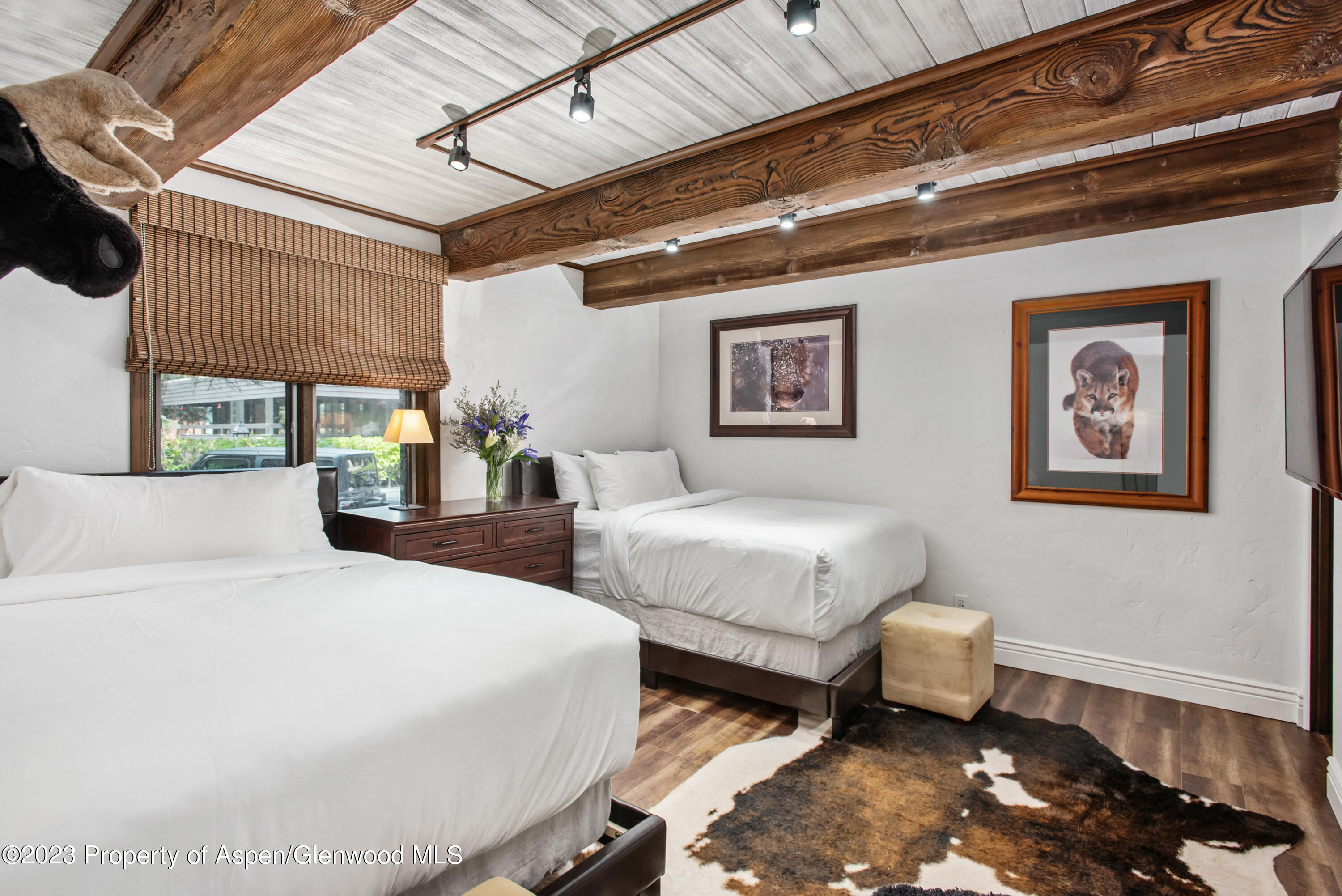 1039 E Cooper Avenue Aspen CO 81611