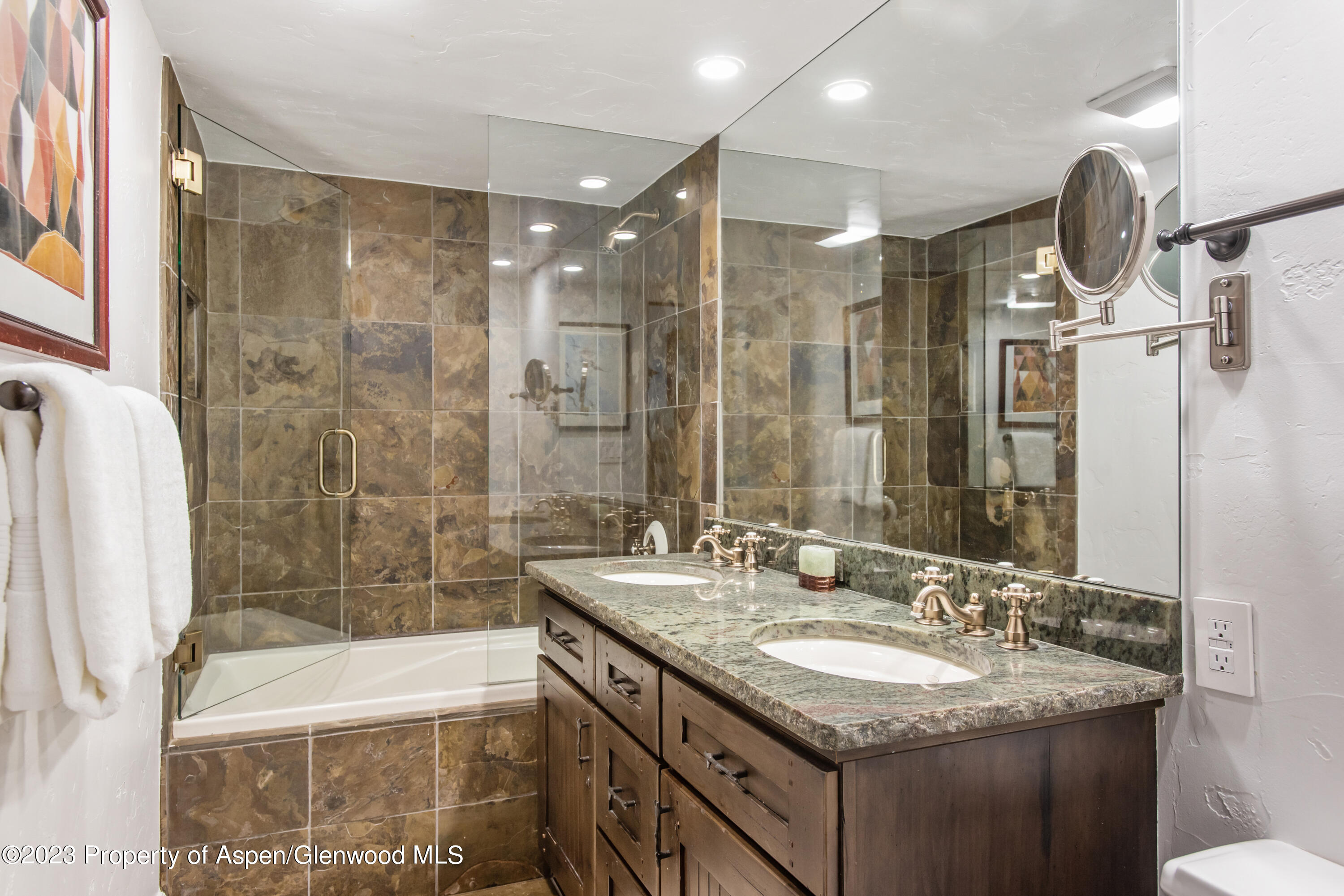 1039 E Cooper Avenue Aspen CO 81611