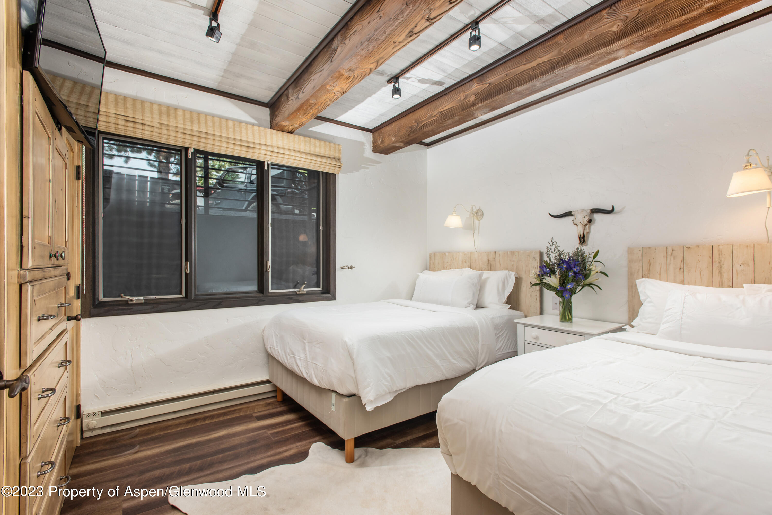 1039 E Cooper Avenue Aspen CO 81611