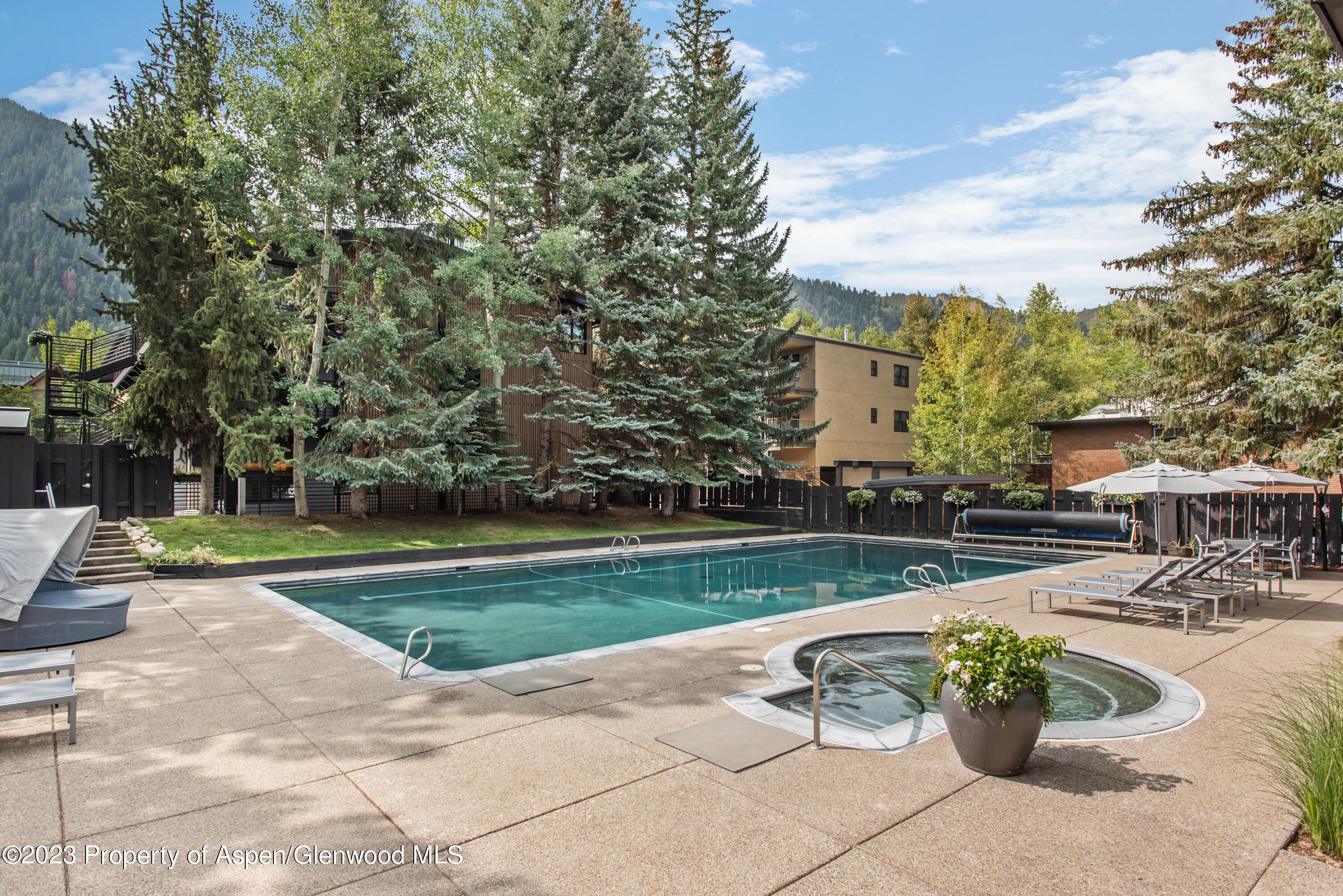 1039 E Cooper Avenue Aspen CO 81611