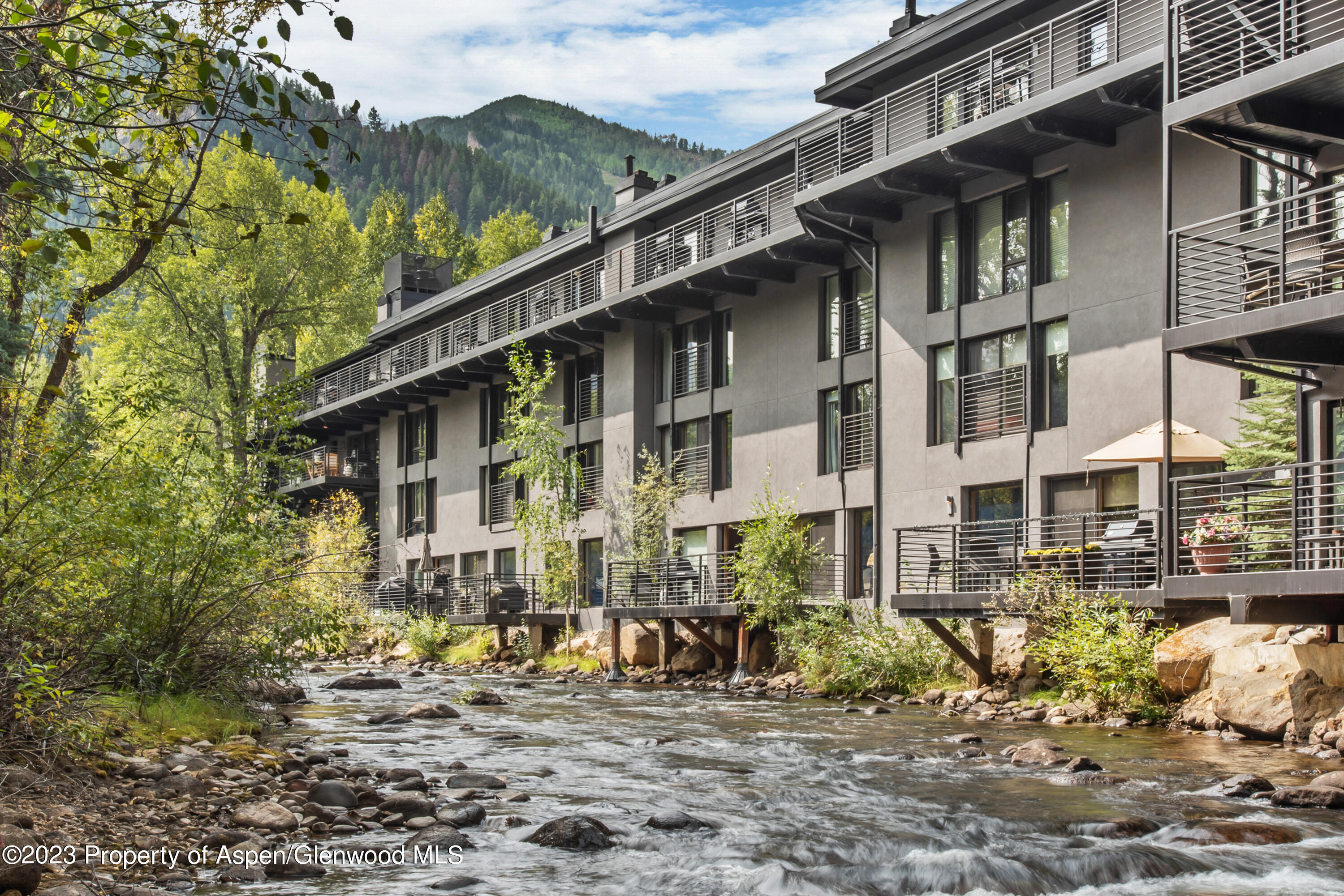 1039 E Cooper Avenue Aspen CO 81611