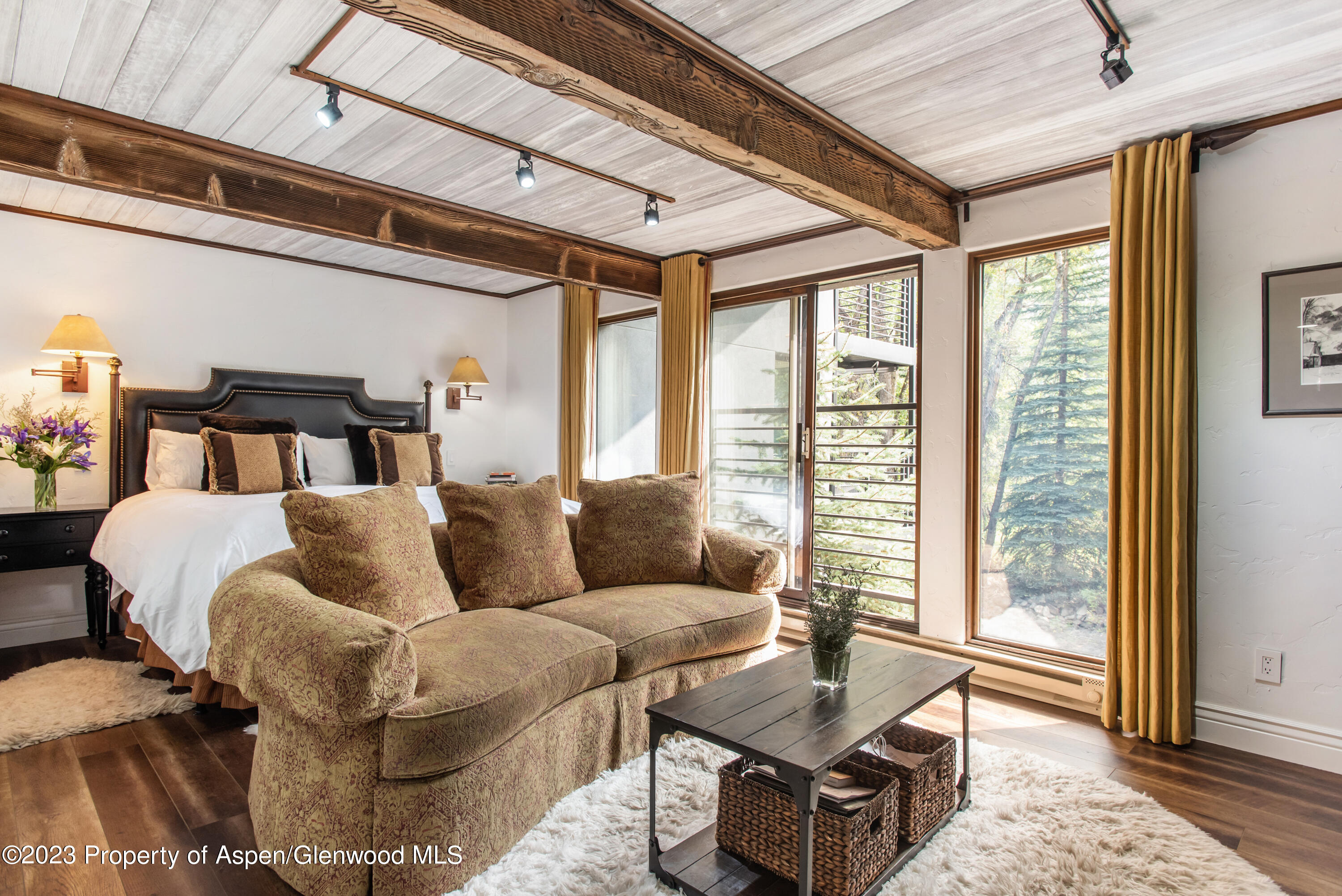 1039 E Cooper Avenue Aspen CO 81611