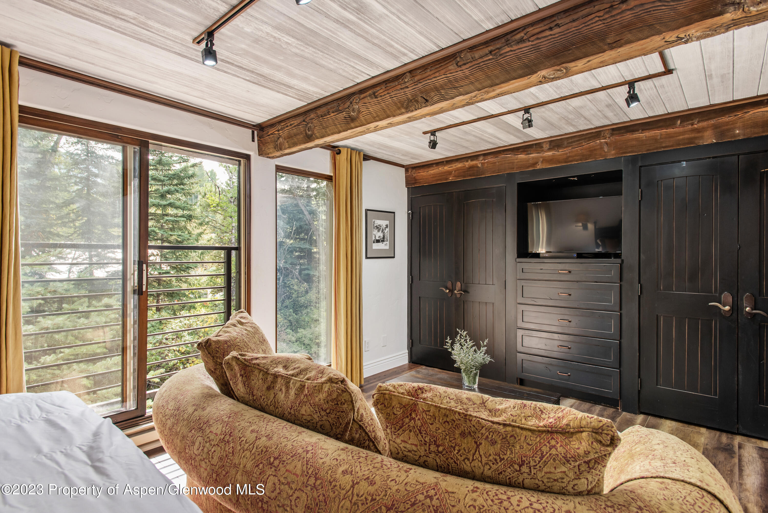 1039 E Cooper Avenue Aspen CO 81611