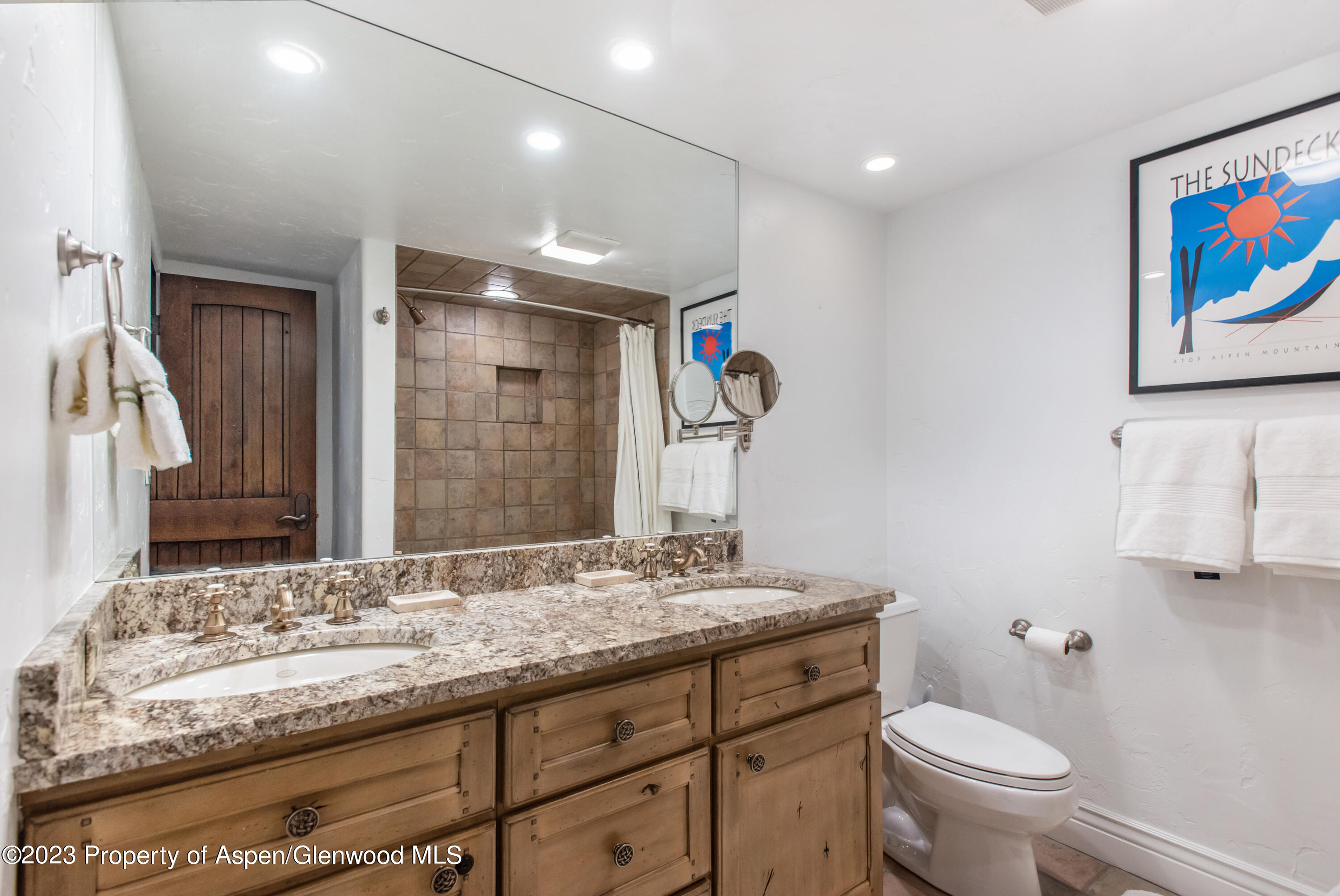 1039 E Cooper Avenue Aspen CO 81611