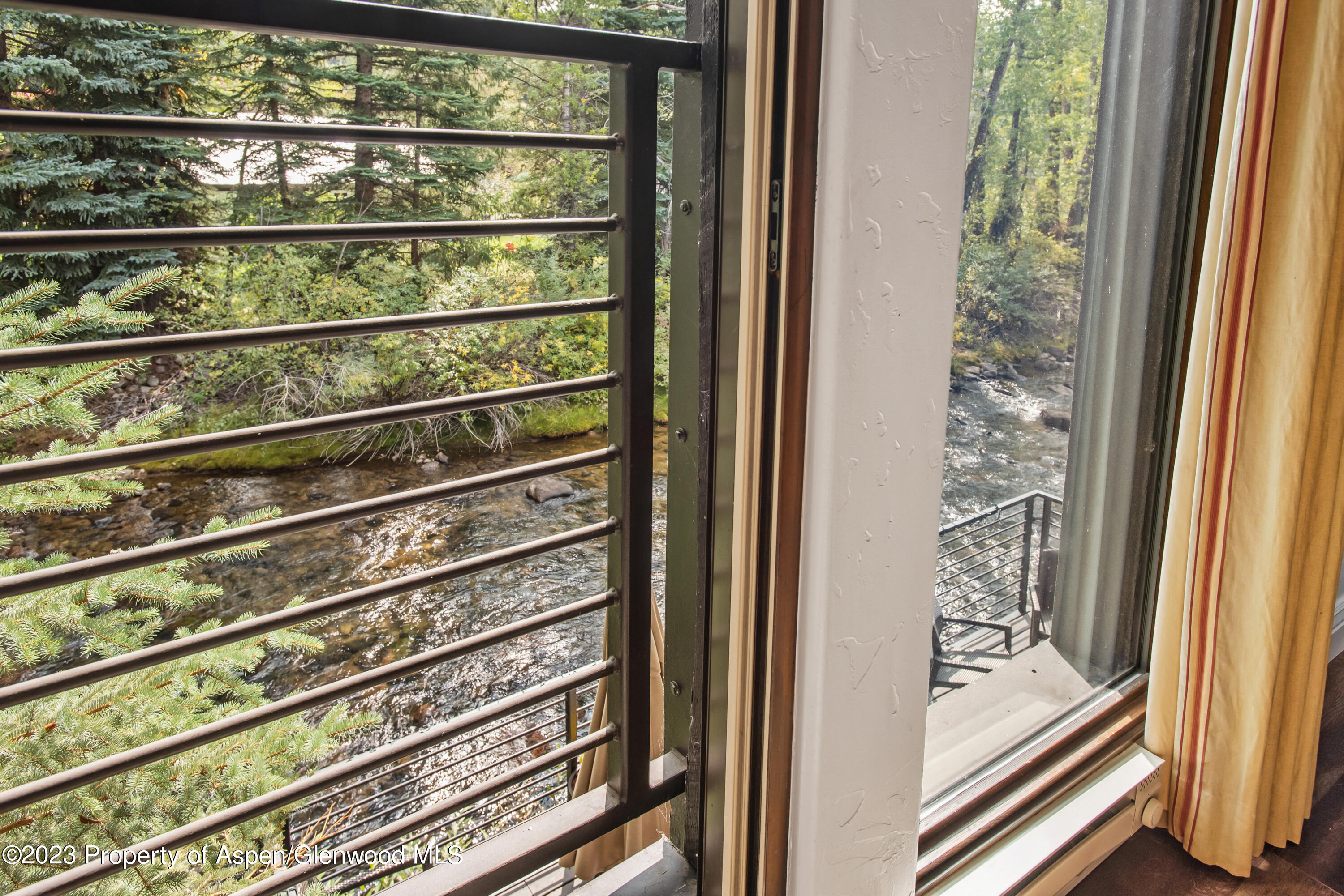 1039 E Cooper Avenue Aspen CO 81611