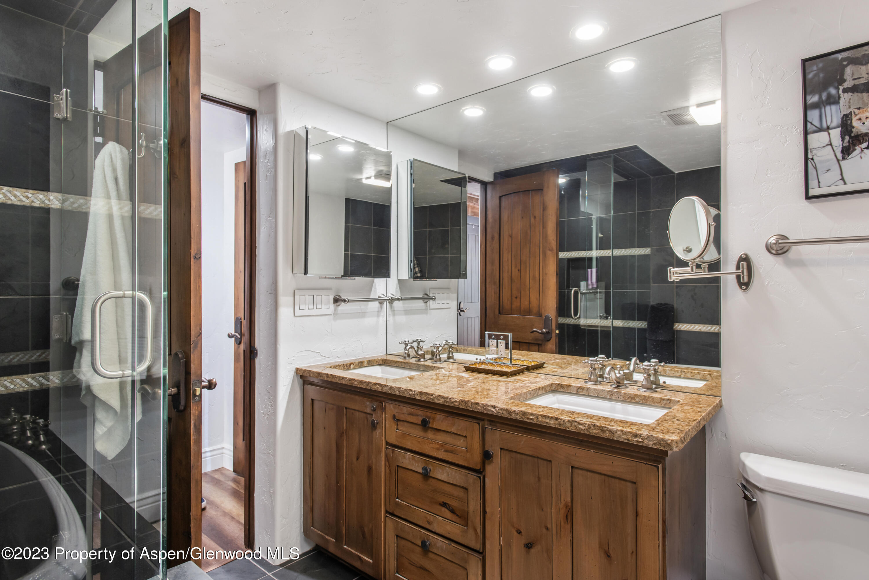 1039 E Cooper Avenue Aspen CO 81611