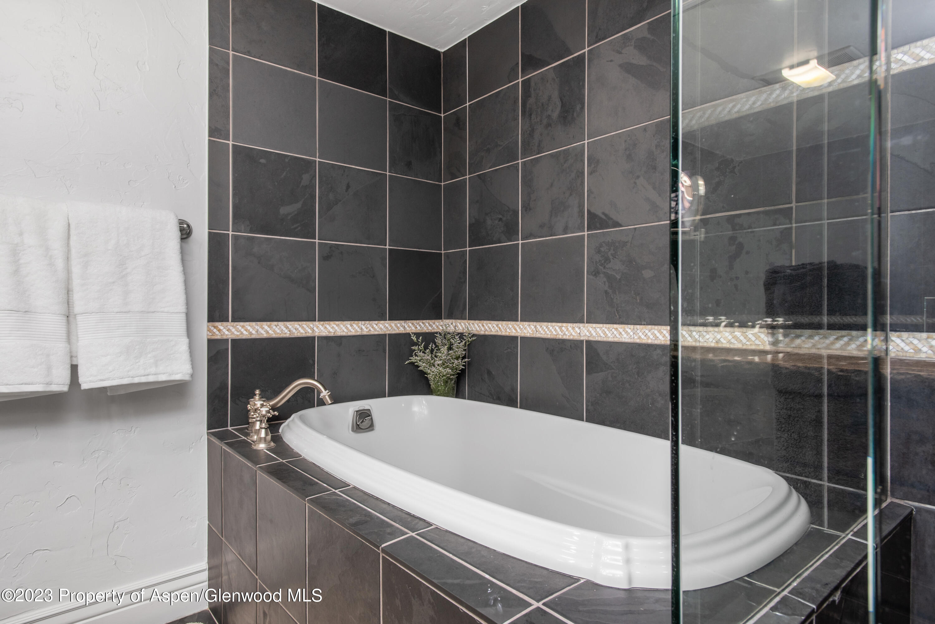 1039 E Cooper Avenue Aspen CO 81611