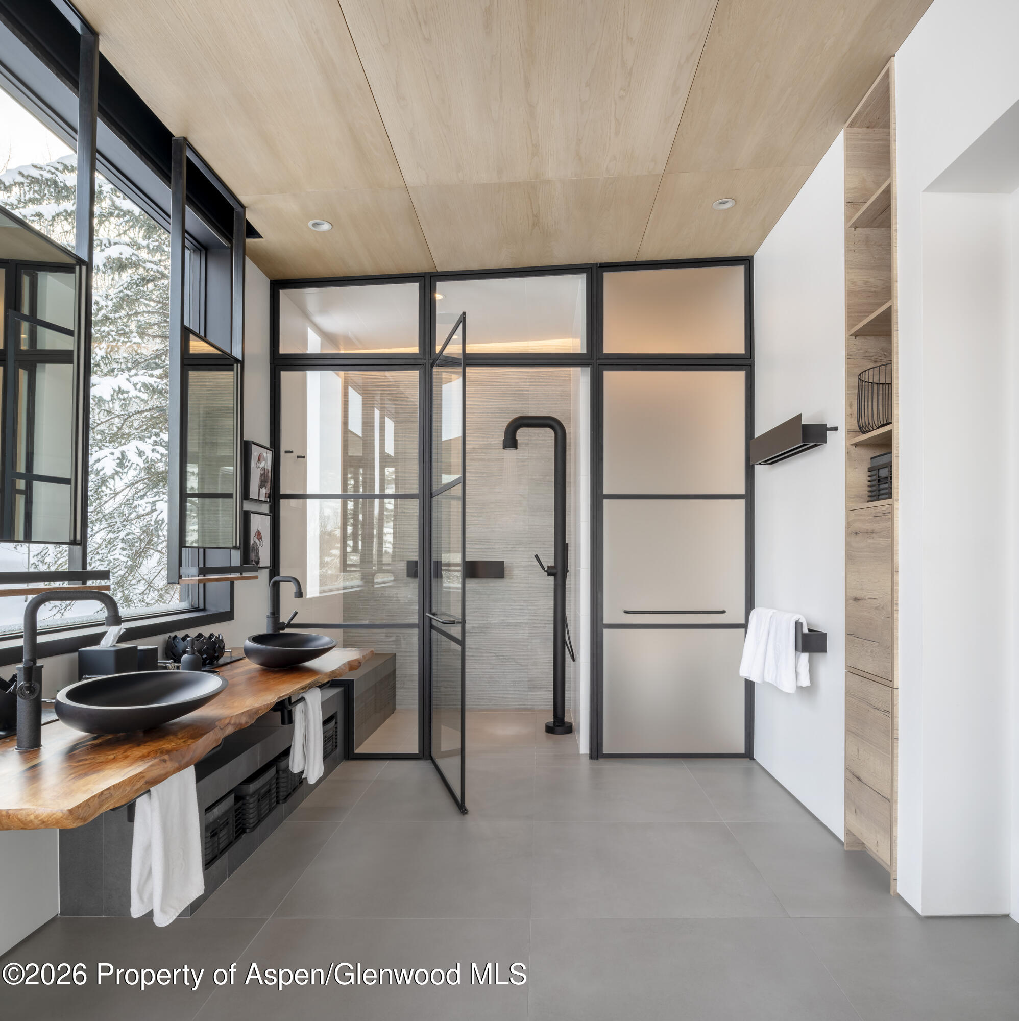 296 Glen Dee Road Aspen CO 81611