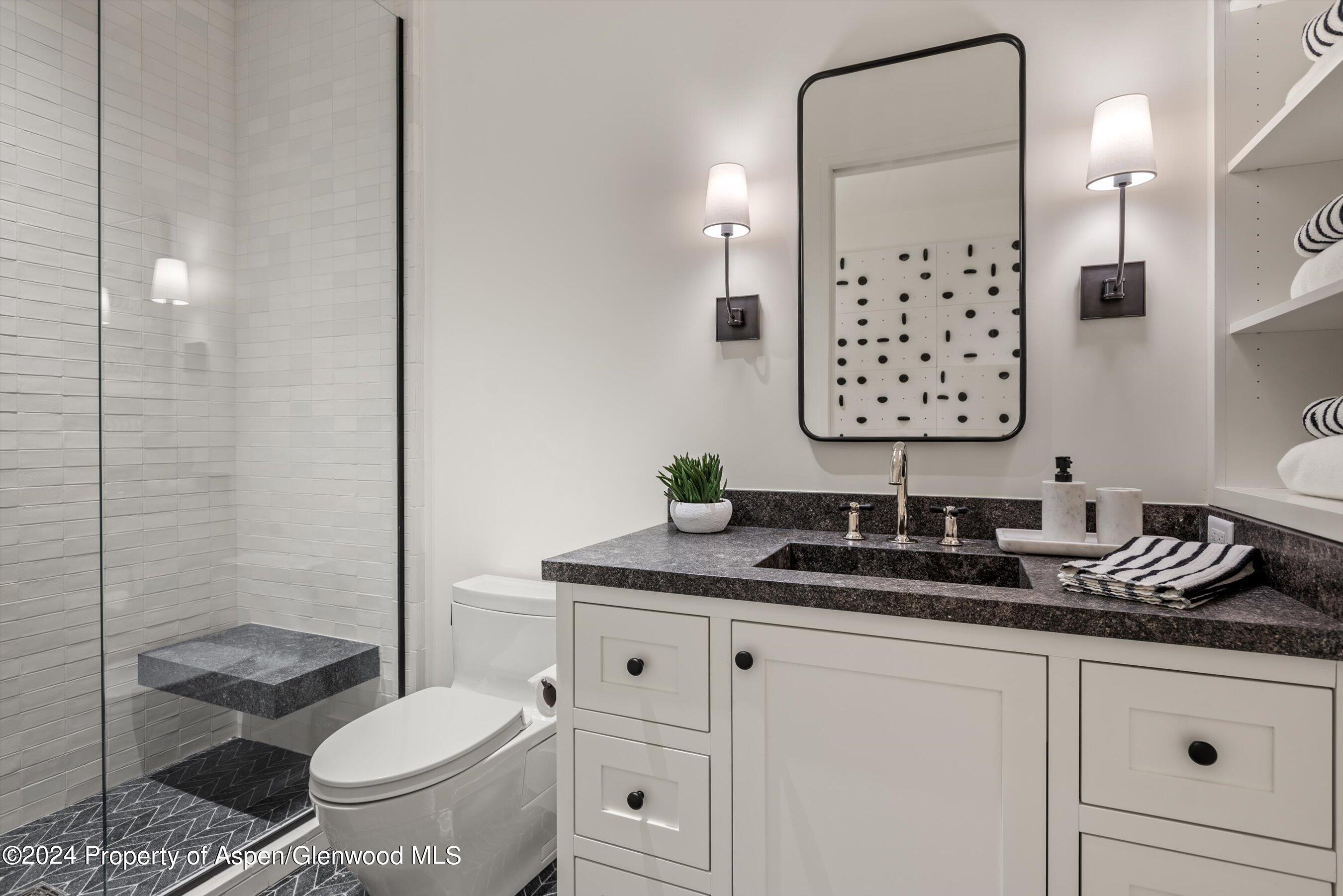 134 E Bleeker Street Aspen CO 81611