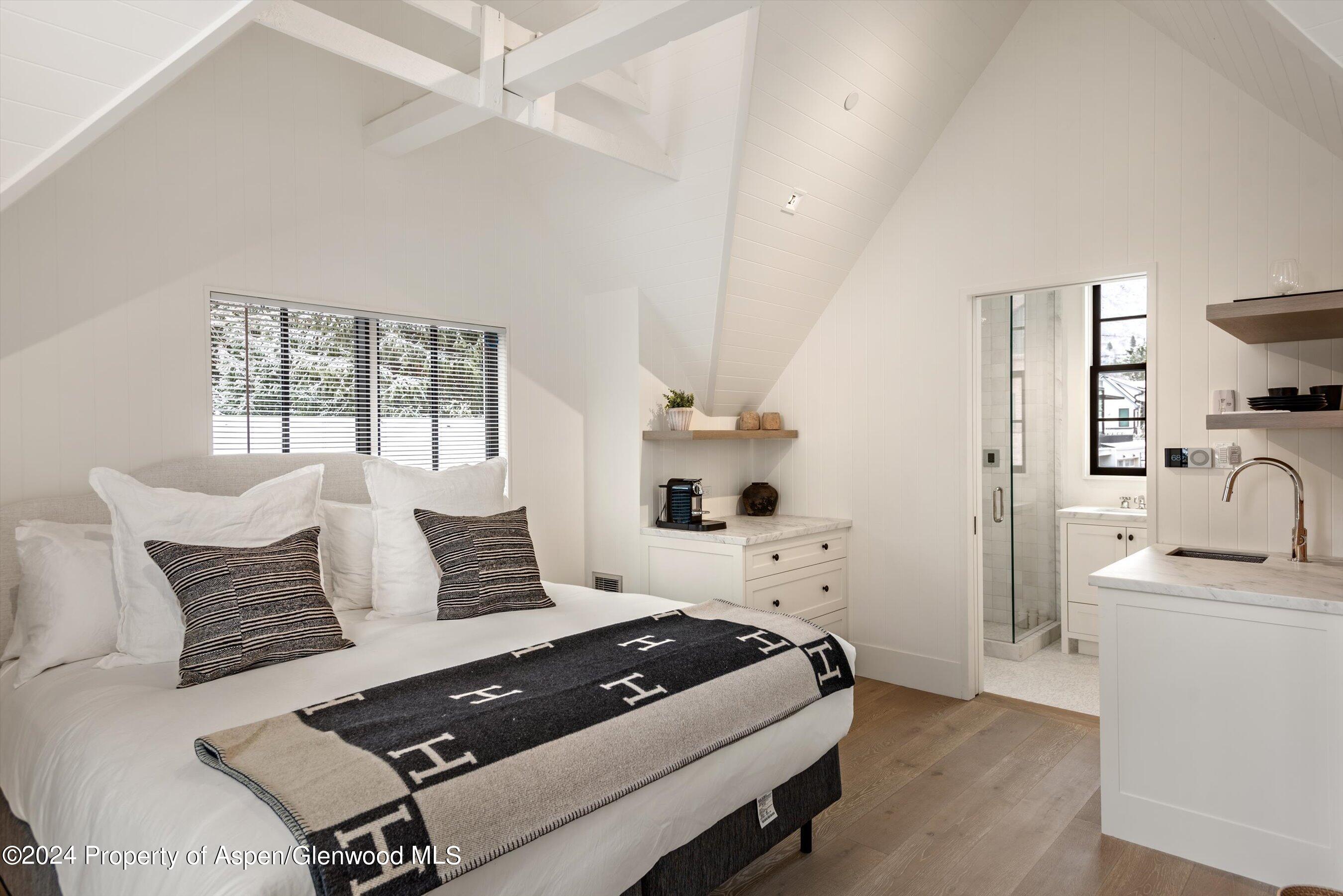 134 E Bleeker Street Aspen CO 81611
