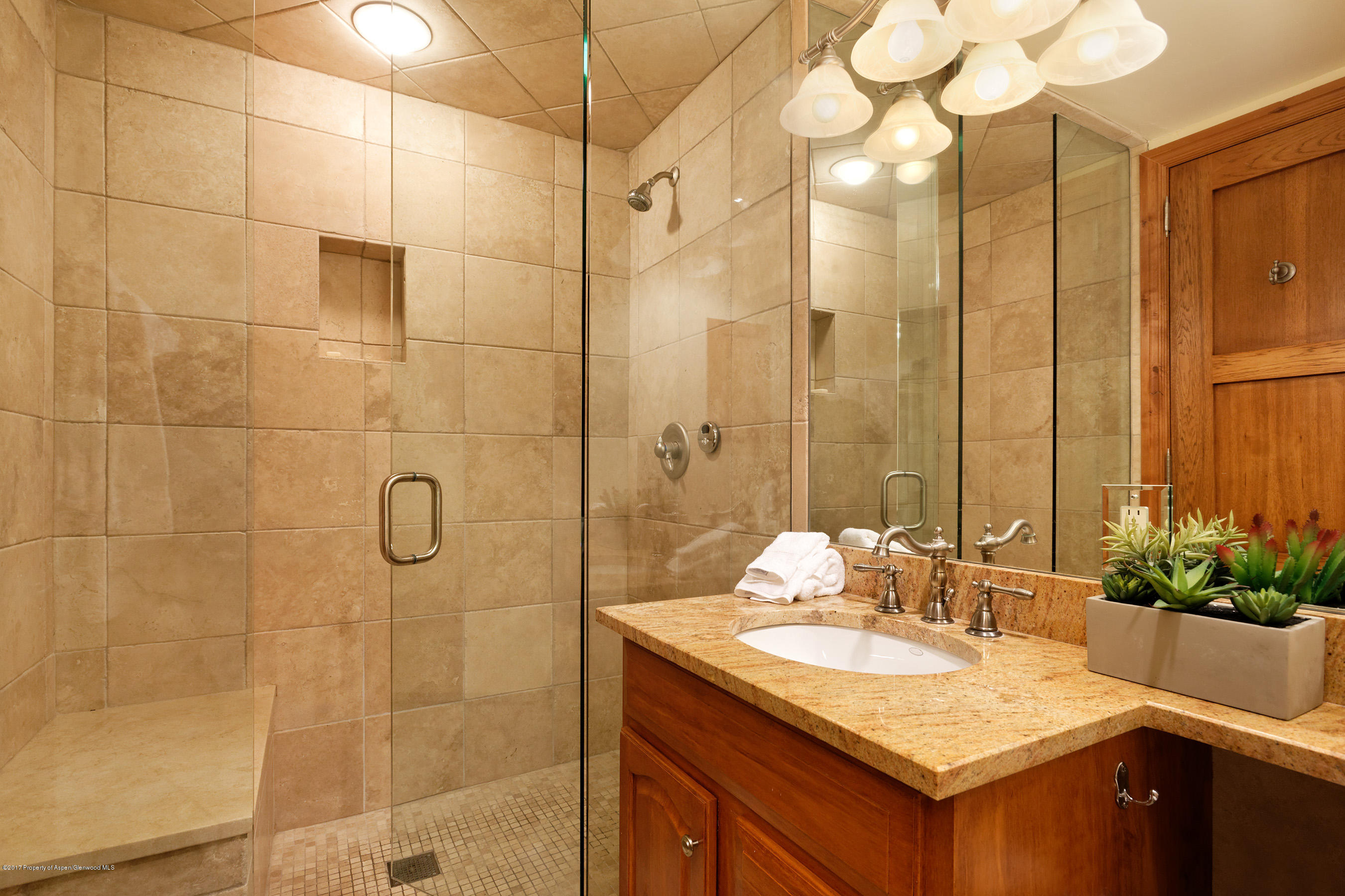 711 S Galena Street Aspen CO 81611