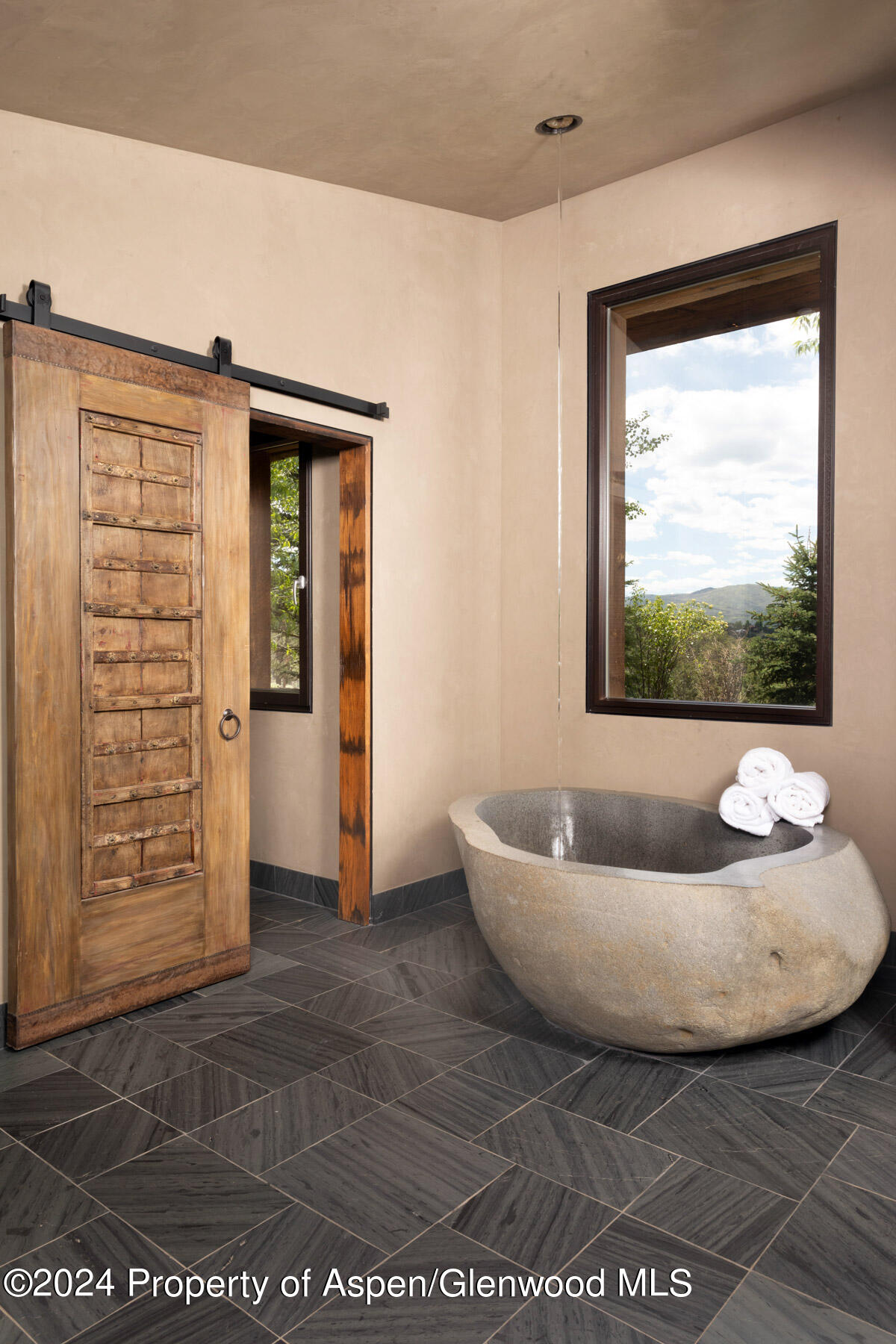 665 Callicotte Ranch Drive Carbondale CO 81623