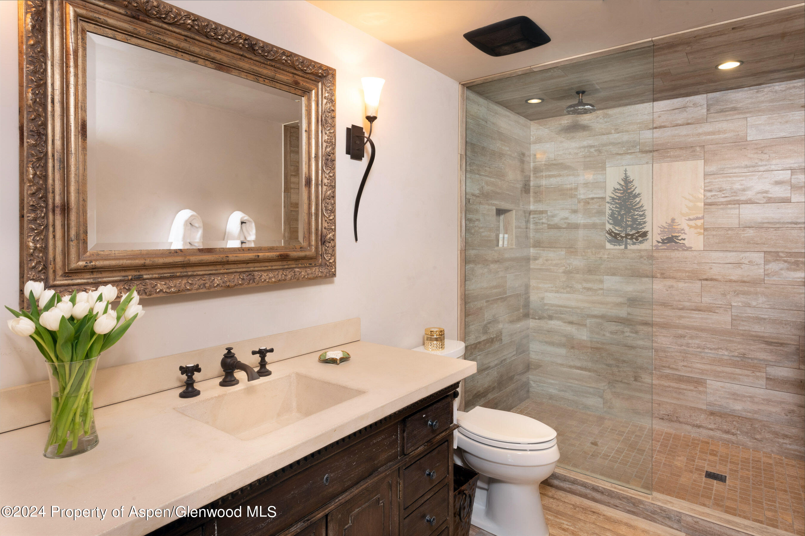 665 Callicotte Ranch Drive Carbondale CO 81623