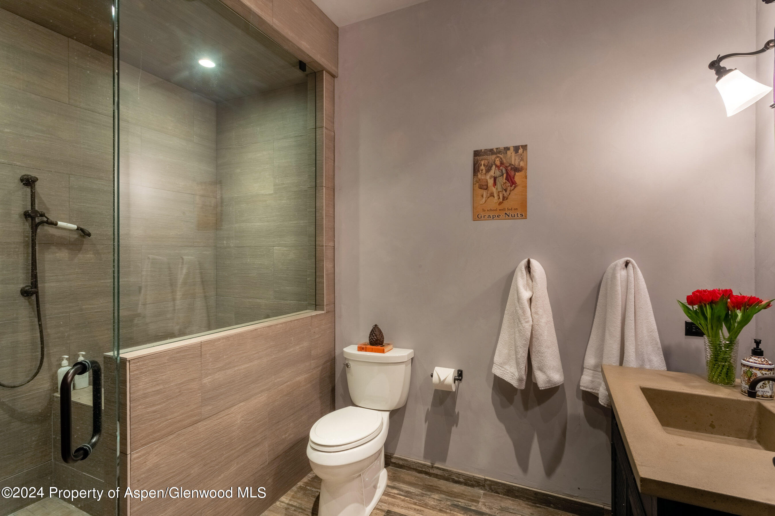 665 Callicotte Ranch Drive Carbondale CO 81623