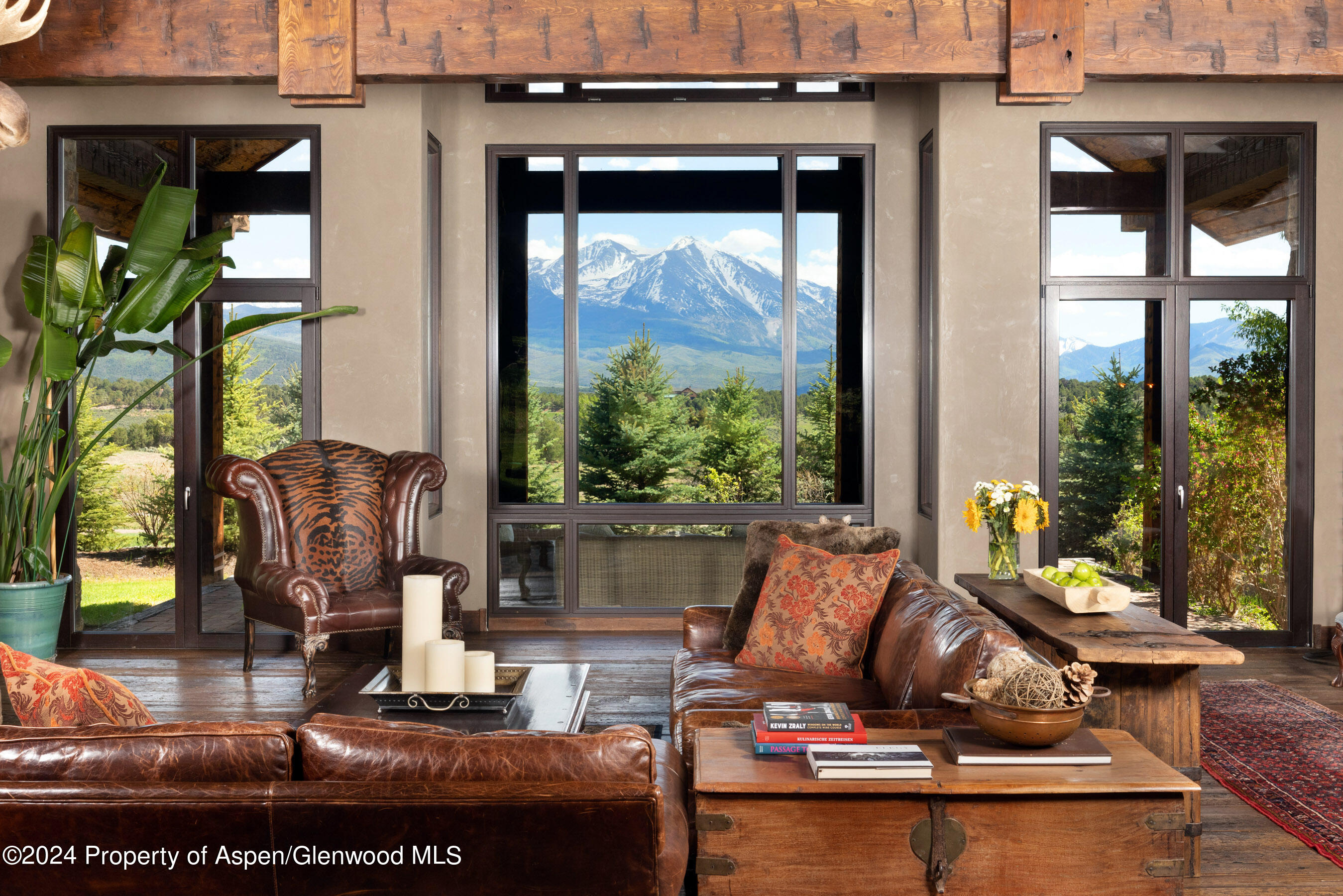 665 Callicotte Ranch Drive Carbondale CO 81623