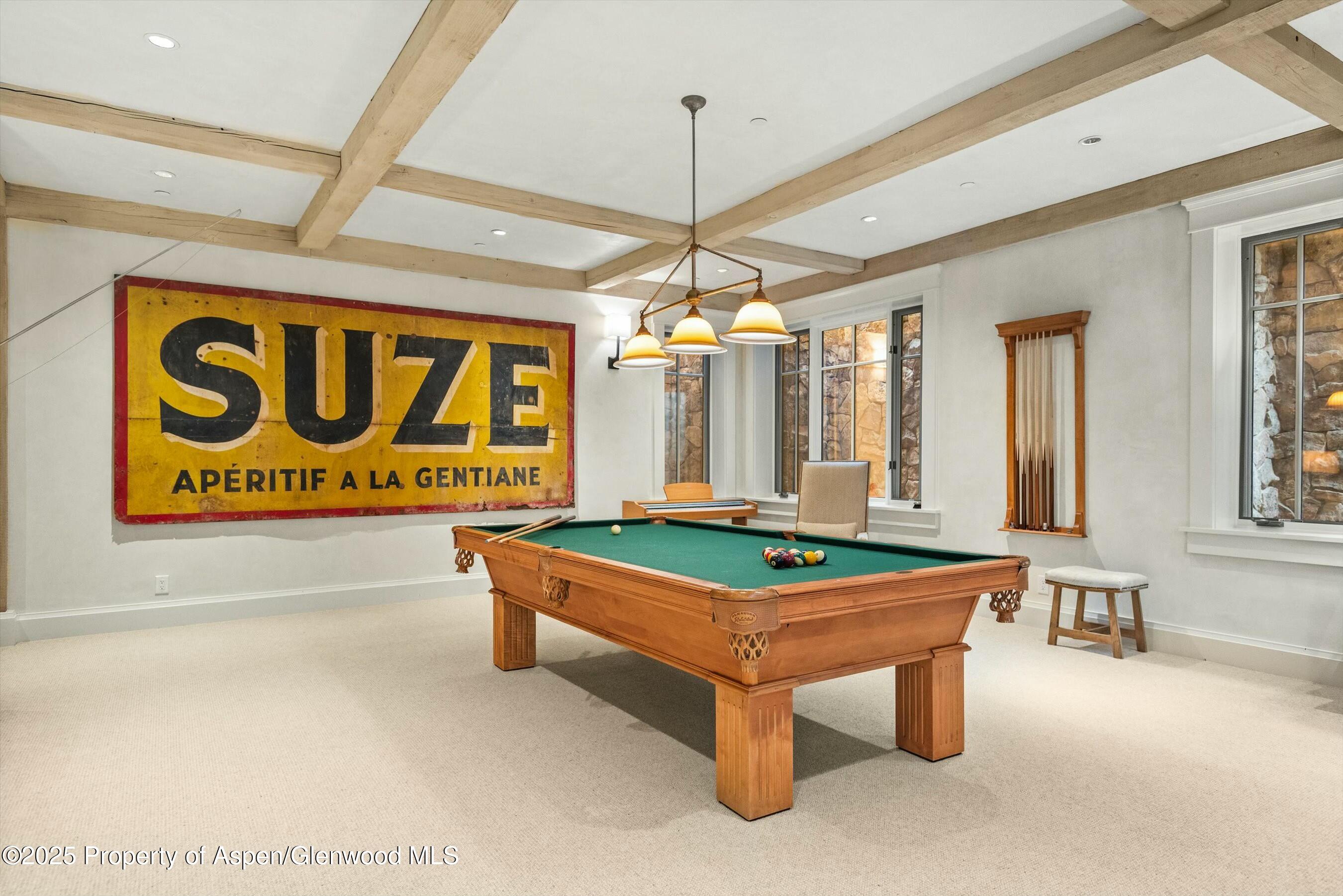 99 Steeplechase Drive Aspen CO 81611