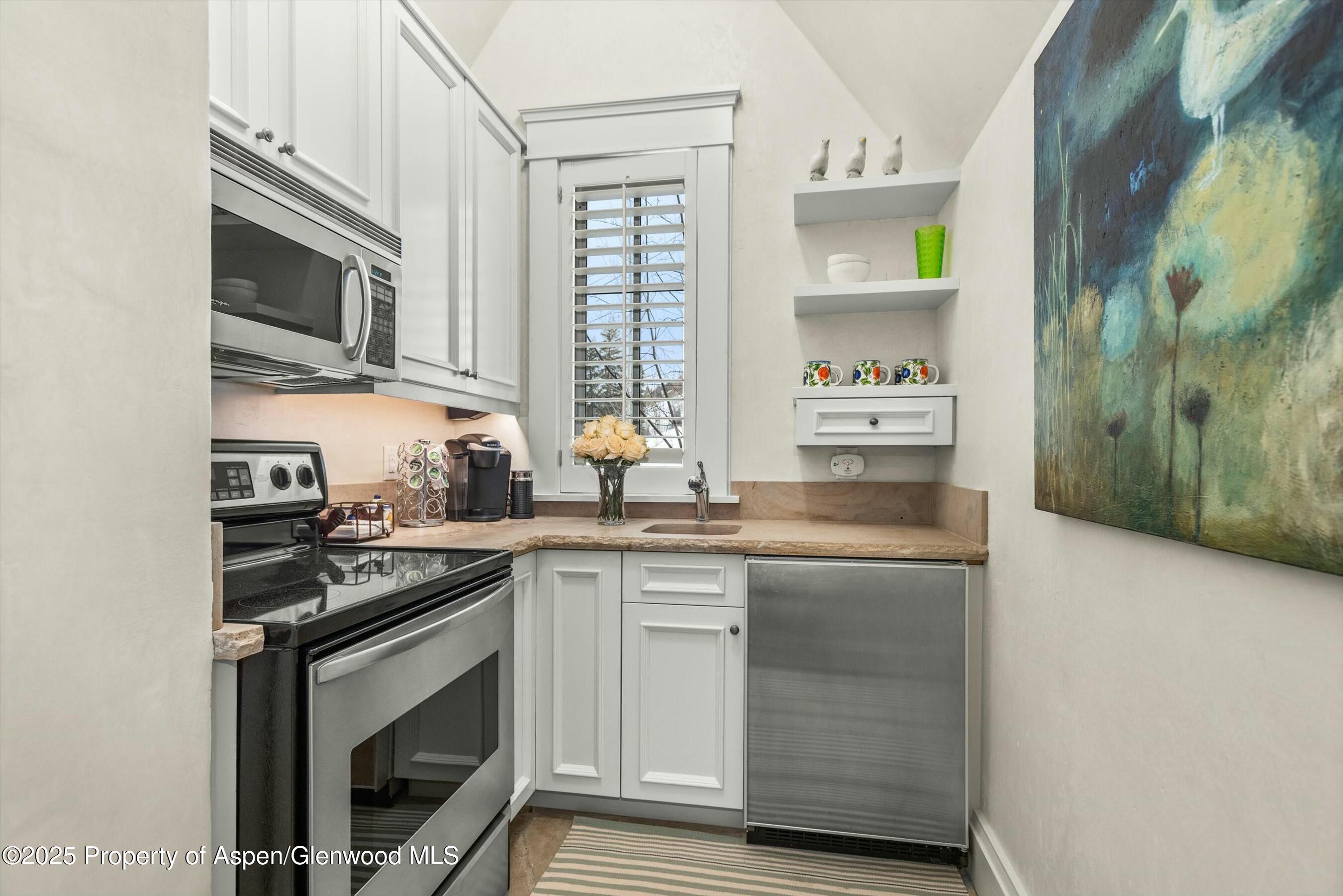 99 Steeplechase Drive Aspen CO 81611