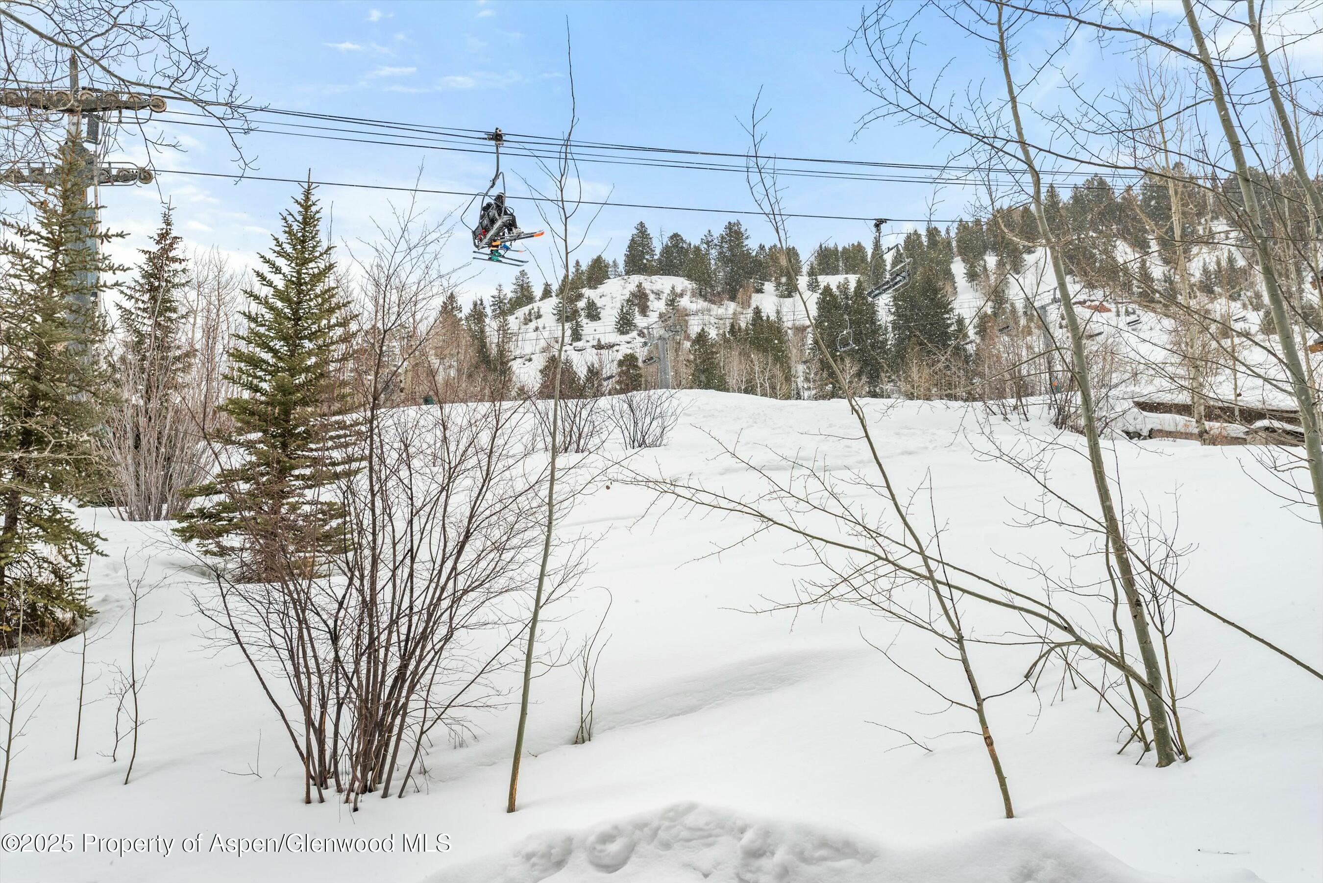 99 Steeplechase Drive Aspen CO 81611