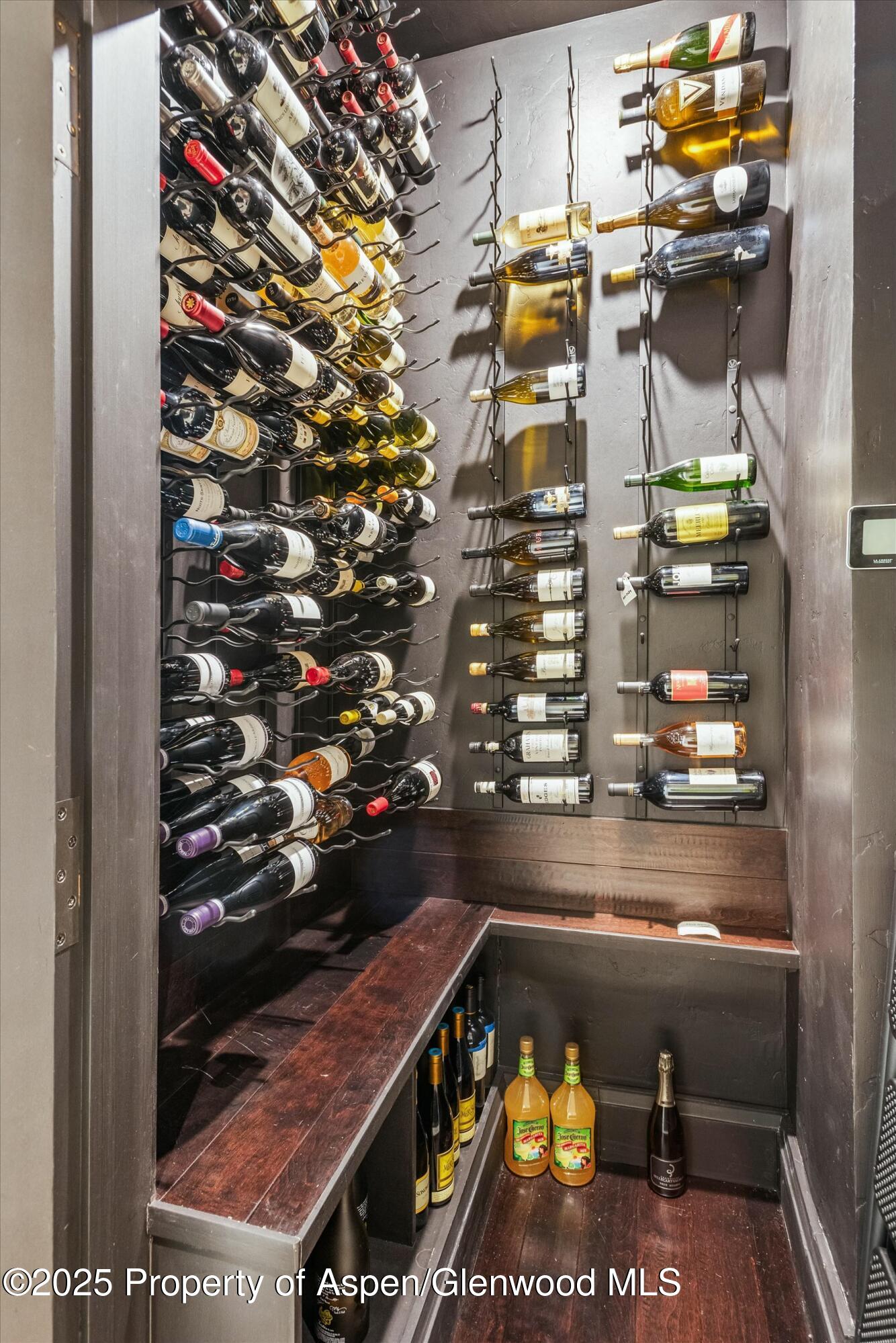 99 Steeplechase Drive Aspen CO 81611