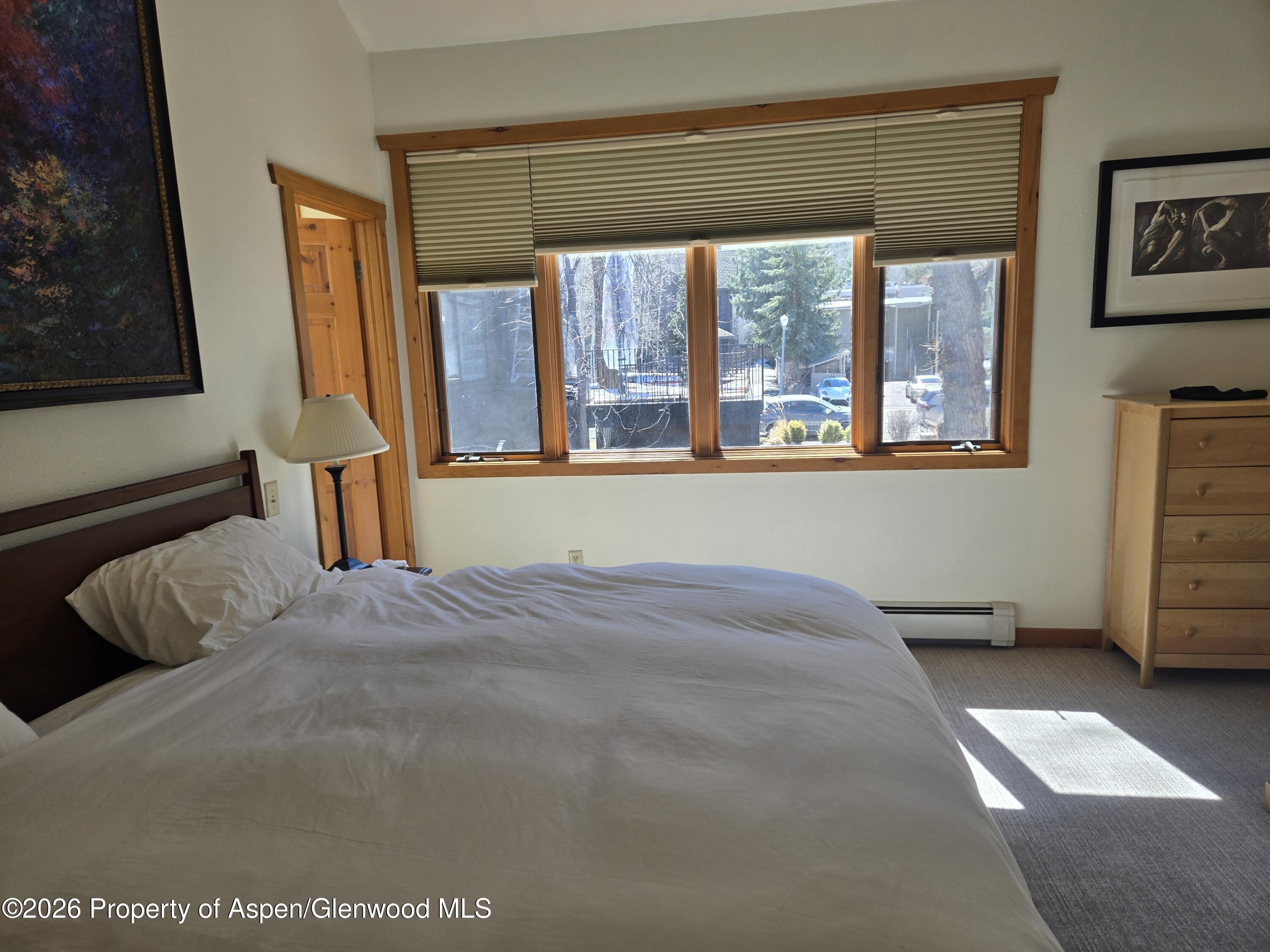 960 E Durant Avenue Aspen CO 81611