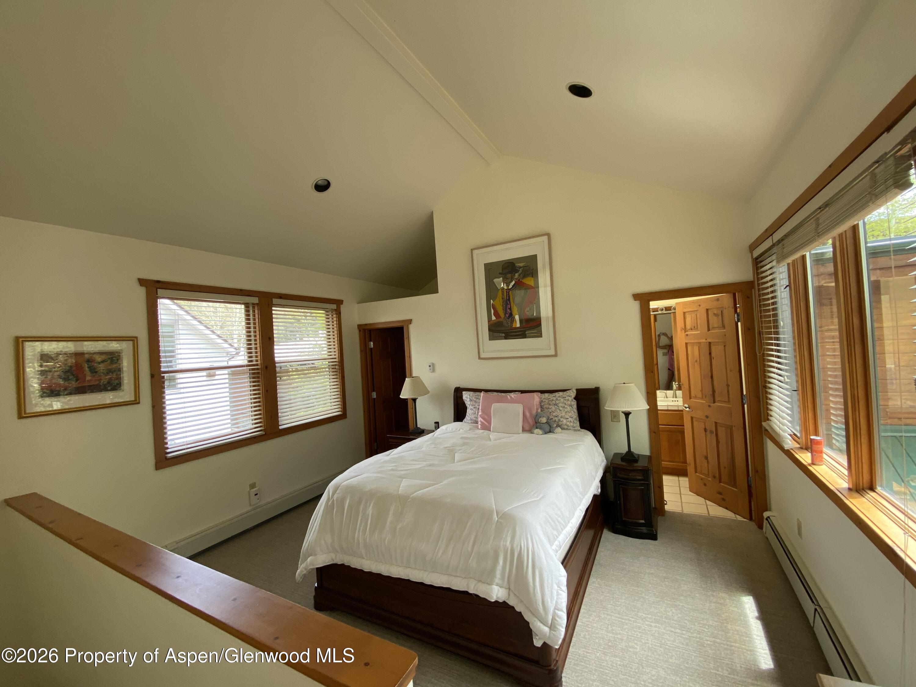 960 E Durant Avenue Aspen CO 81611