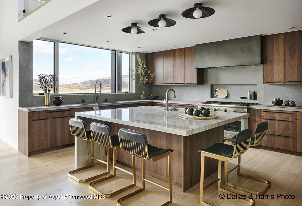 2196 Lazy O Road Snowmass CO 81654