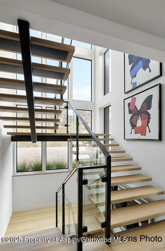 2196 Lazy O Road Snowmass CO 81654