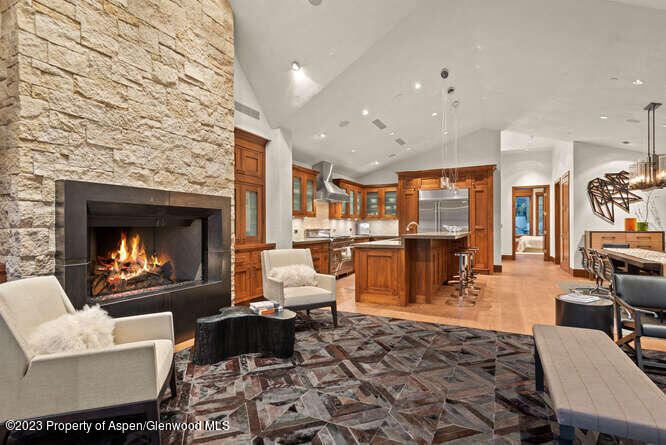 719 E Hopkins Avenue Aspen CO 81611