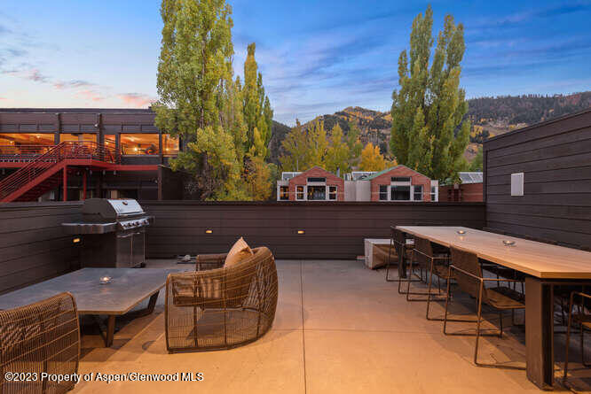 719 E Hopkins Avenue Aspen CO 81611