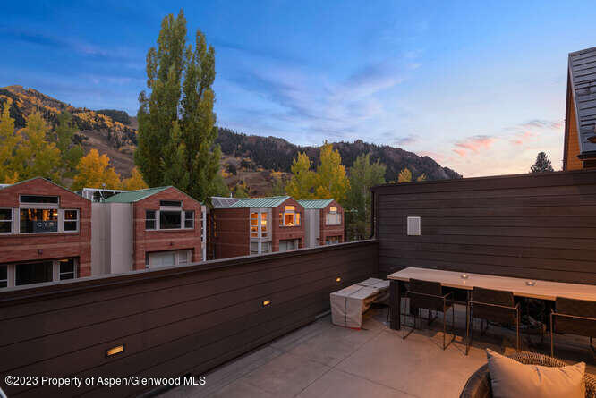 719 E Hopkins Avenue Aspen CO 81611