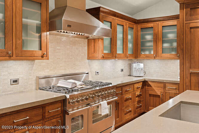 719 E Hopkins Avenue Aspen CO 81611