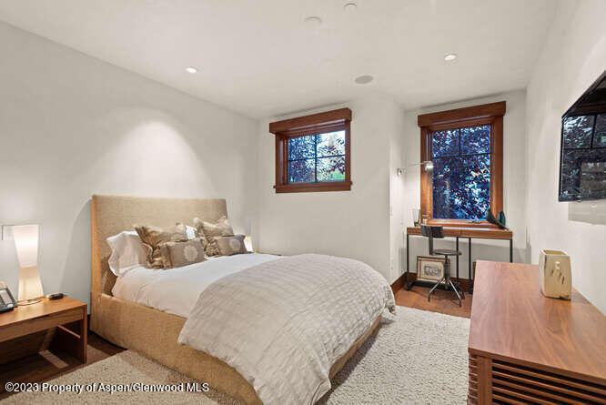 719 E Hopkins Avenue Aspen CO 81611