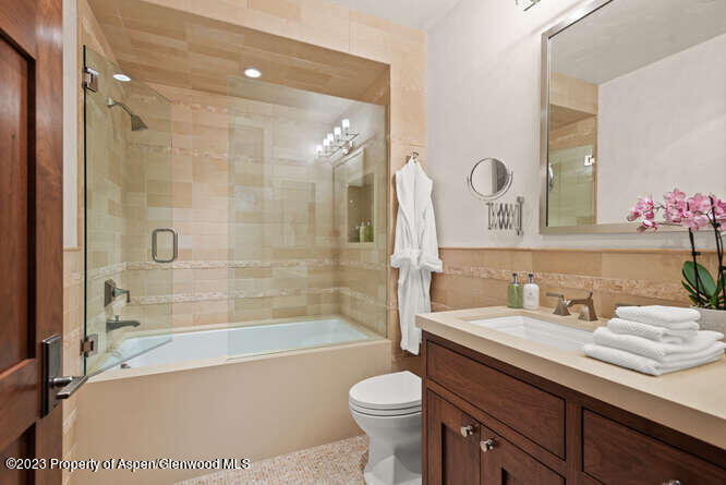 719 E Hopkins Avenue Aspen CO 81611