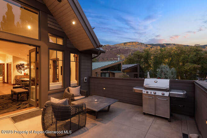 719 E Hopkins Avenue Aspen CO 81611