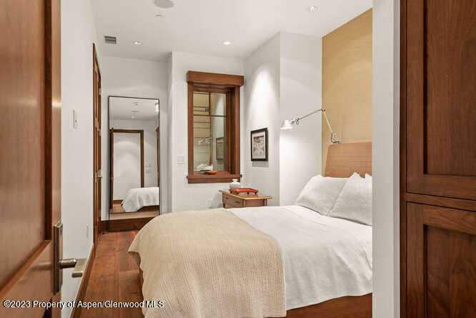 719 E Hopkins Avenue Aspen CO 81611