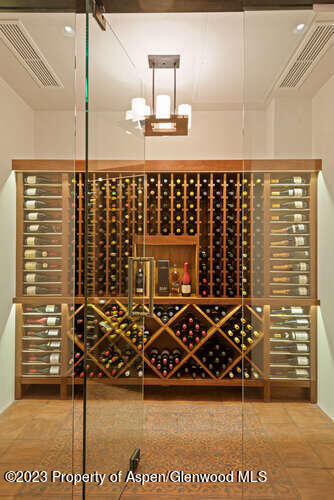 719 E Hopkins Avenue Aspen CO 81611