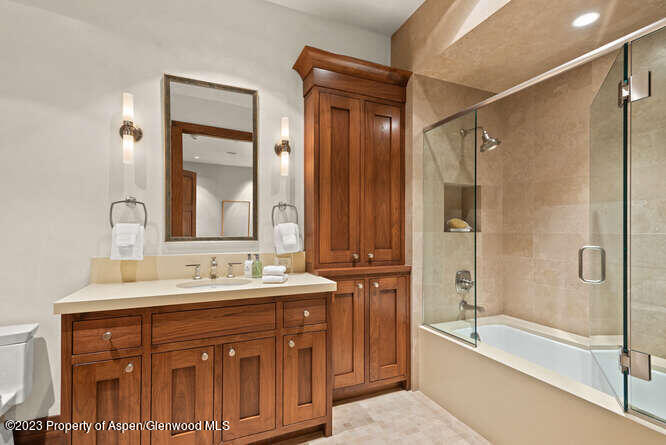 719 E Hopkins Avenue Aspen CO 81611