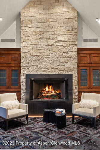 719 E Hopkins Avenue Aspen CO 81611