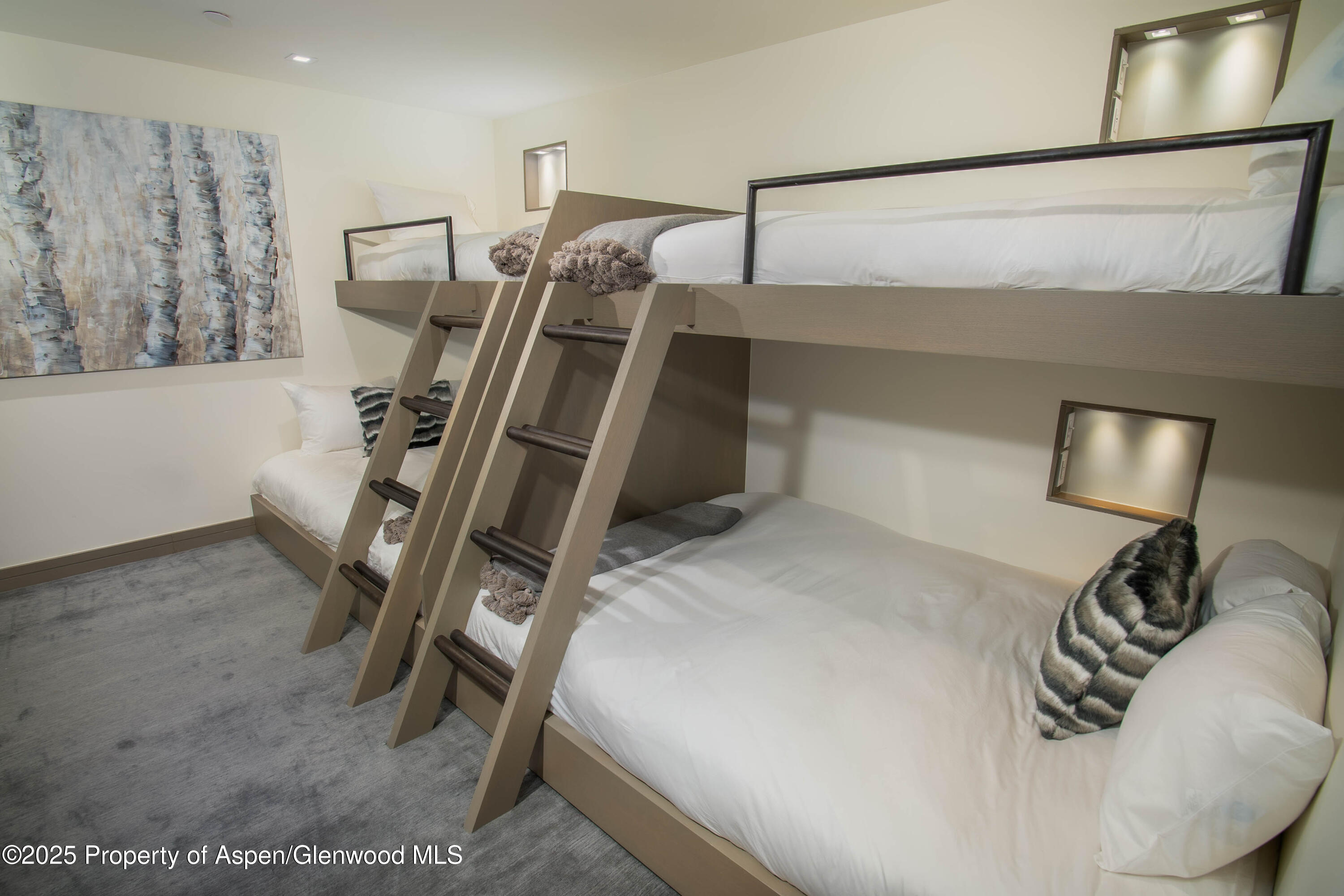 555 E Durant Avenue Aspen CO 81611