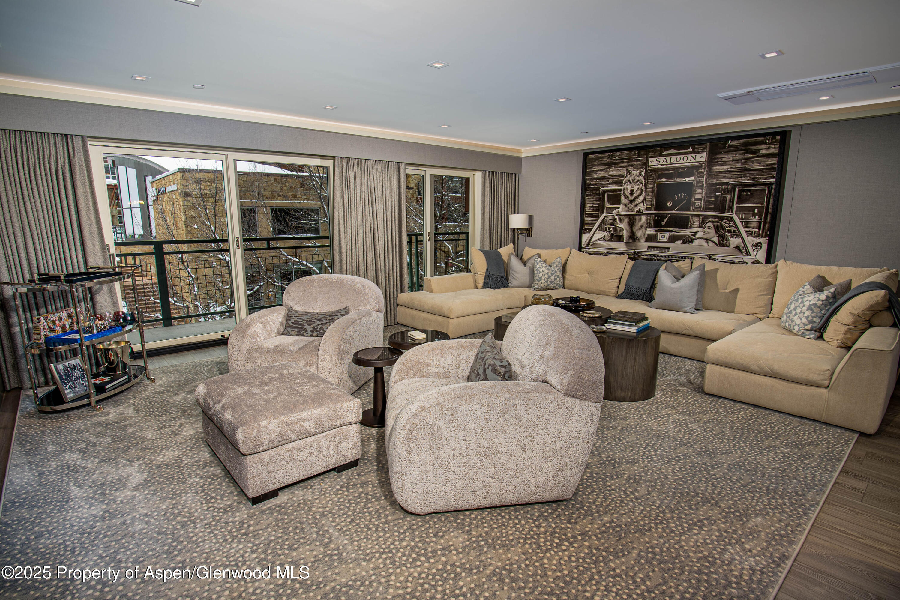 555 E Durant Avenue Aspen CO 81611