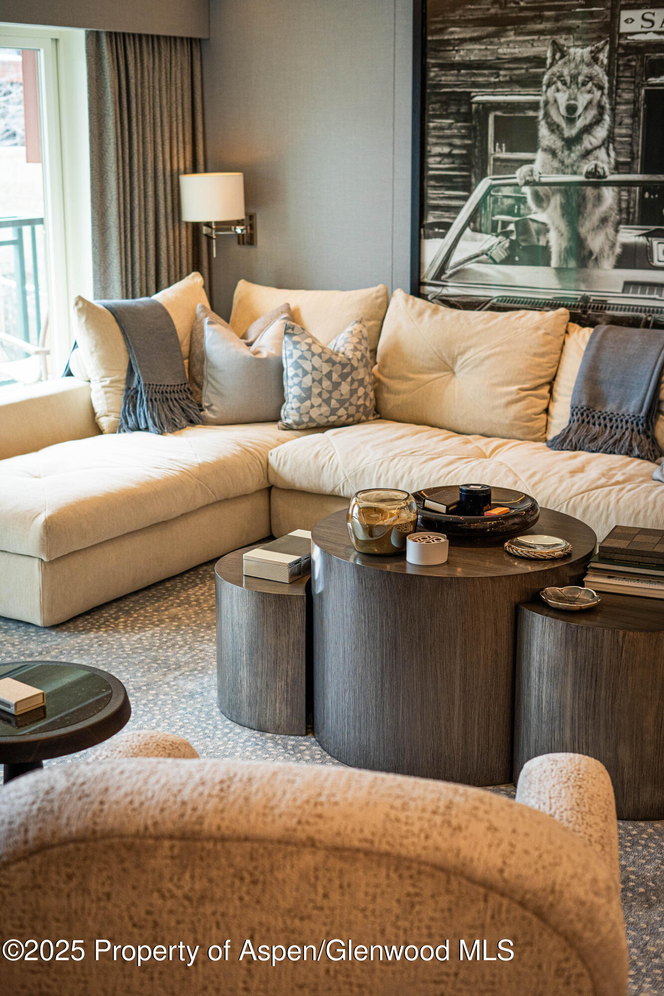 555 E Durant Avenue Aspen CO 81611