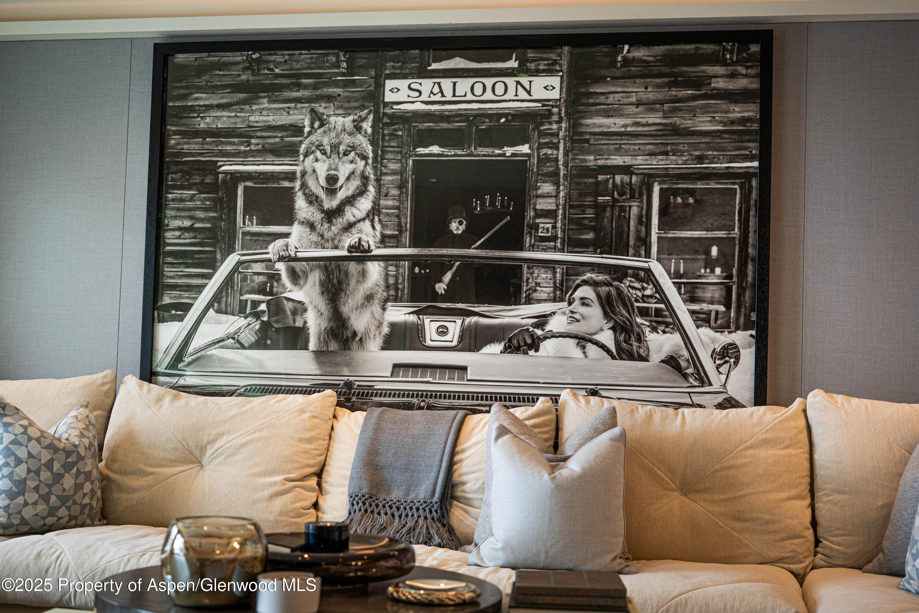 555 E Durant Avenue Aspen CO 81611