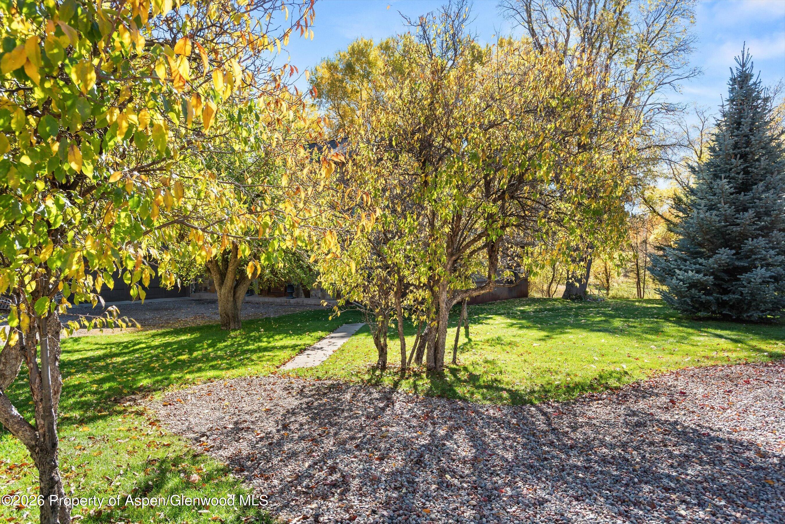 279 Willits Way Basalt CO 81621