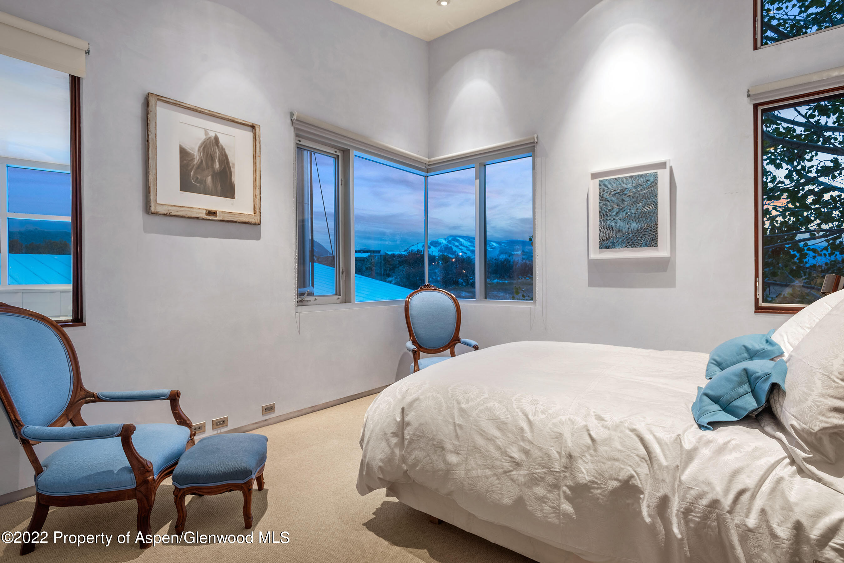 720 Nell Erickson Road Aspen CO 81611