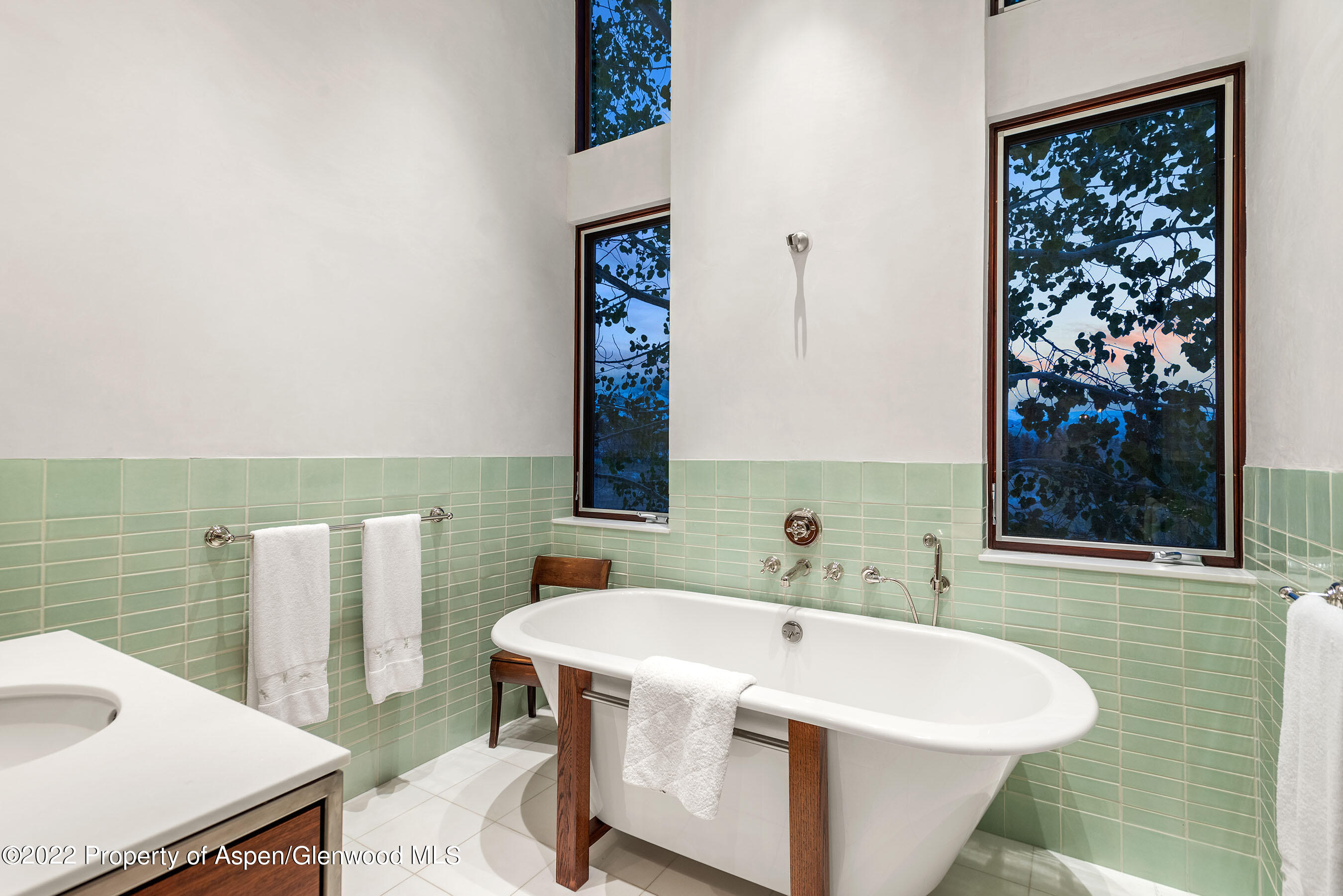 720 Nell Erickson Road Aspen CO 81611